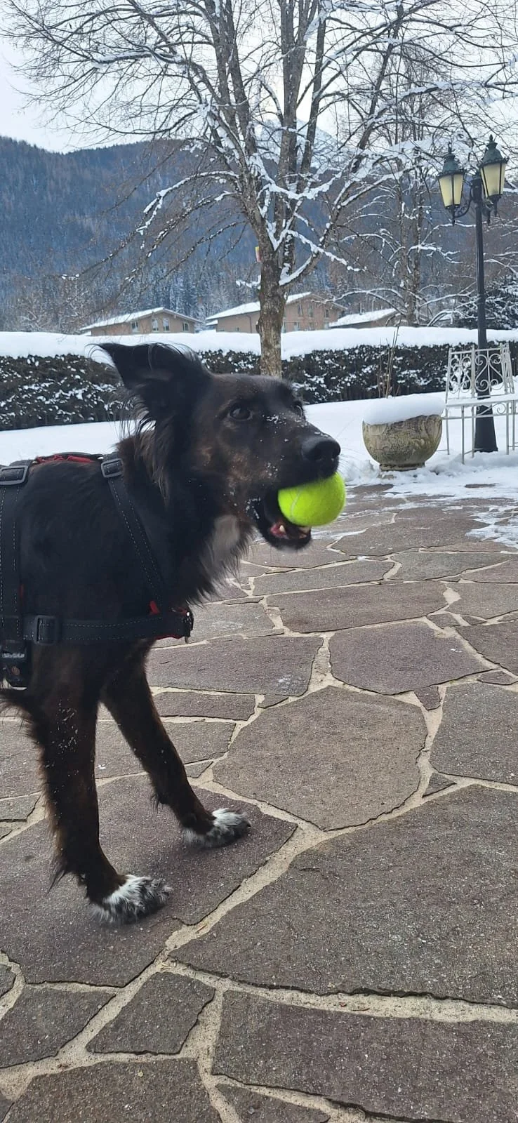 WhatsApp Image 2026-01-08 at 18.13.16.jpeg