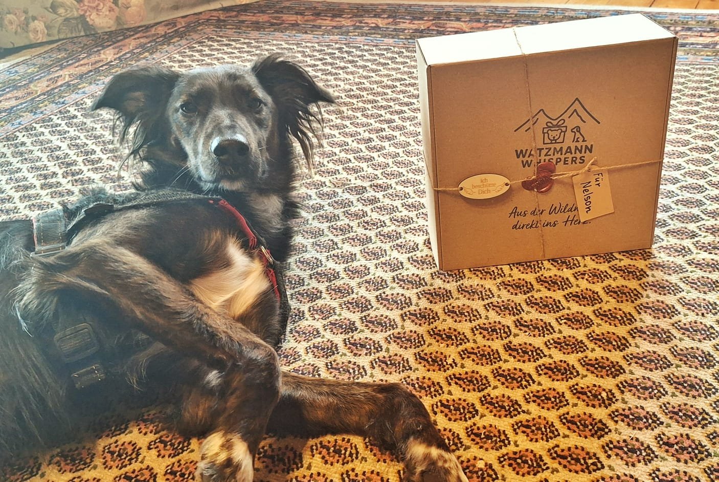 WhatsApp Image 2026-01-08 at 19.39.09 (1).jpeg