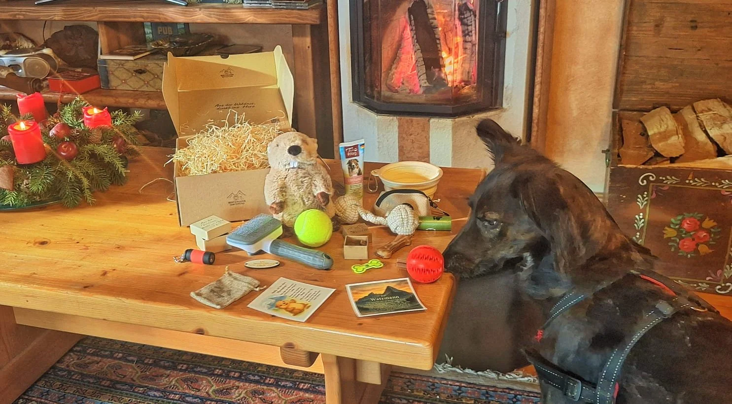 Überraschungsbox – Geschenk für Hunde & Hundebesitzer | Spielzeug, Leckerlis & Plüschtier