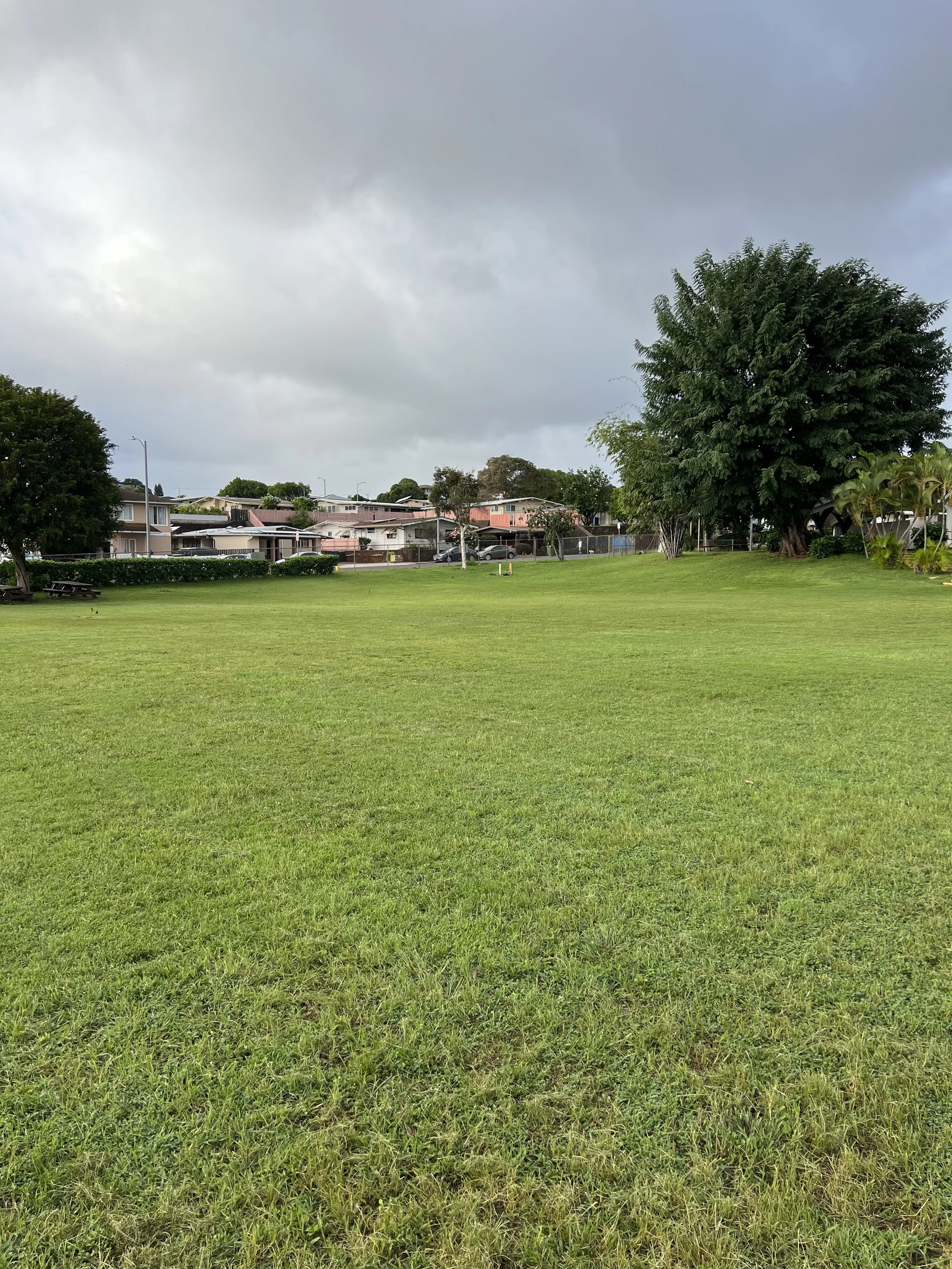 Open grassy park with trees and a residential neighborhood in the background under a cloudy sky.