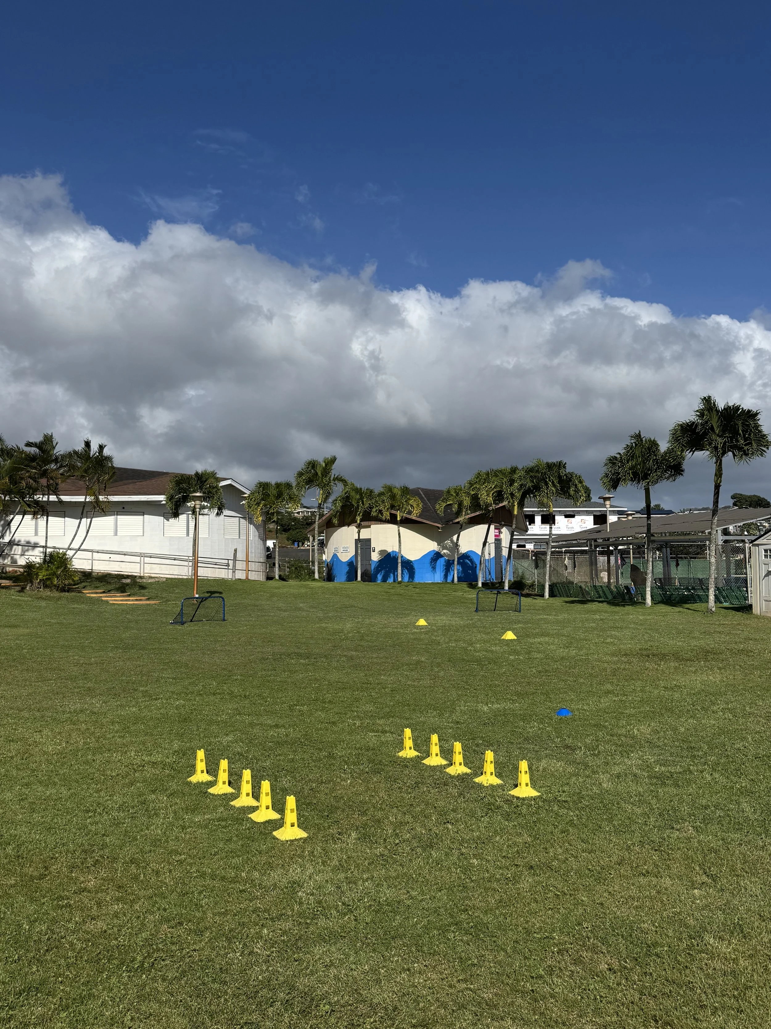 A grassy field set up for outdoor sports training with small yellow cones, blue and yellow markers, and hurdles under a partly cloudy sky with palm trees and buildings in the background.