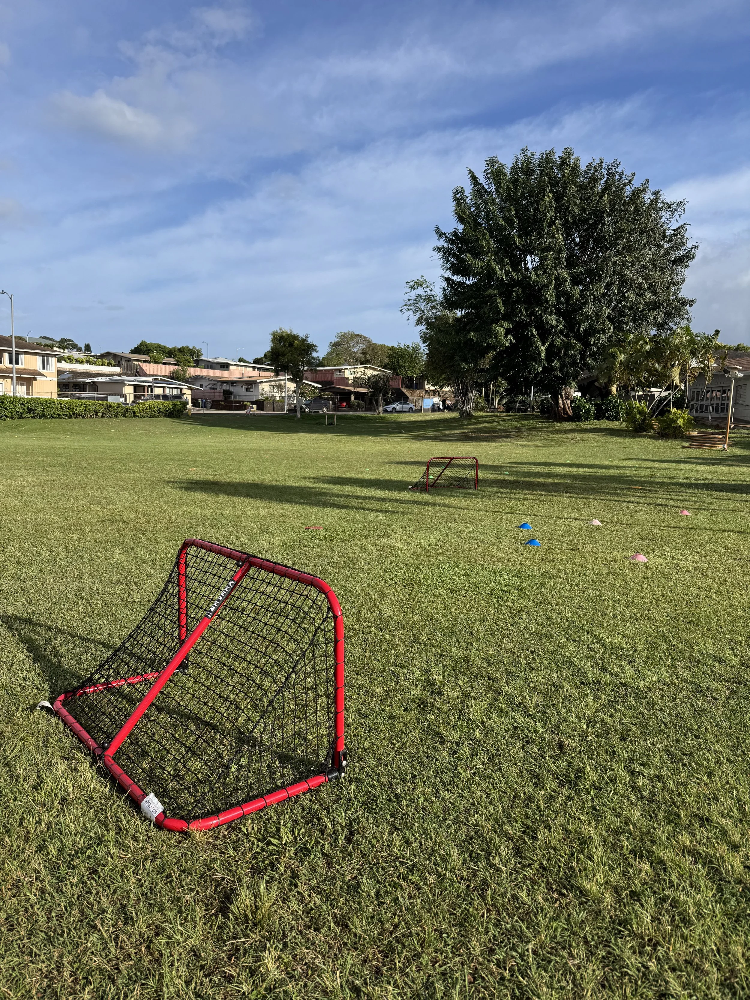 An outdoor park with a green grassy field, a large tree, small hockey goals, and colorful cones set up for a game or practice, under a partly cloudy sky.