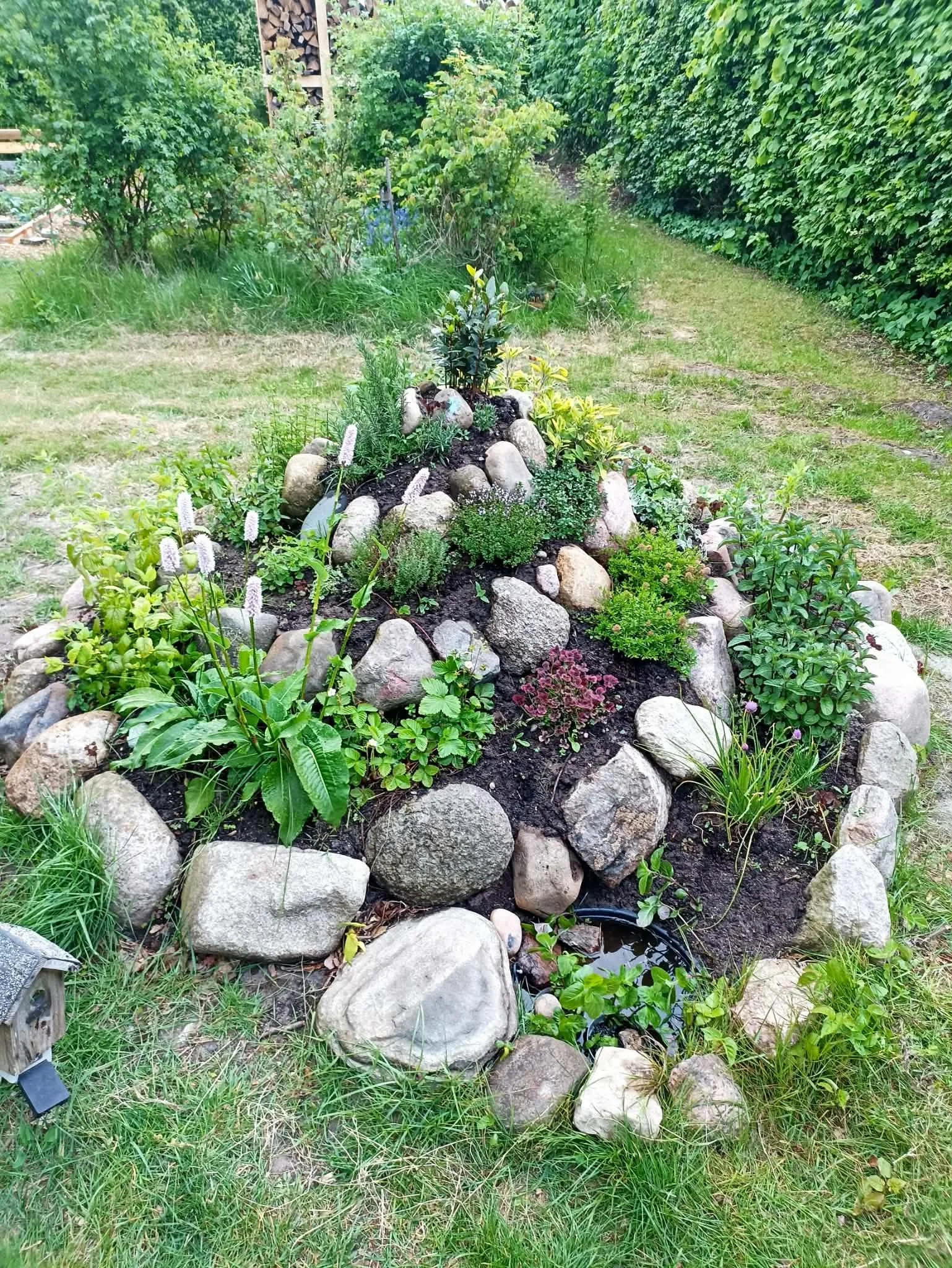 En urtespiral bygget op af marksten er nu i fuld flor. Her blomstrer krydderurter og et vandbassin tiltrækker både insekter og padder til haven. 