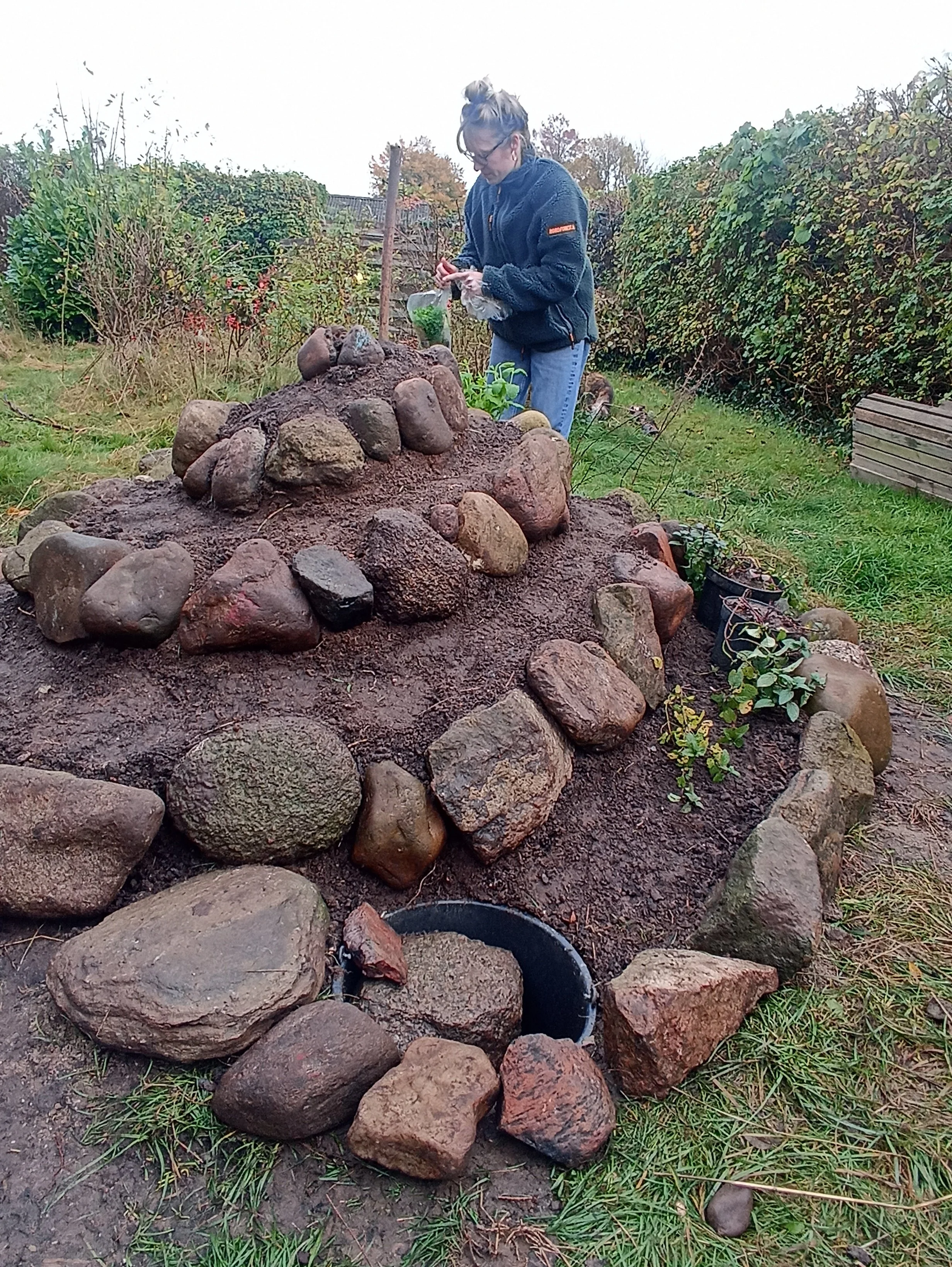 En kvinde er ved at plante de første spiselige urter ud i urtespiralen, der er bygget op af marksten og former en spiral form.