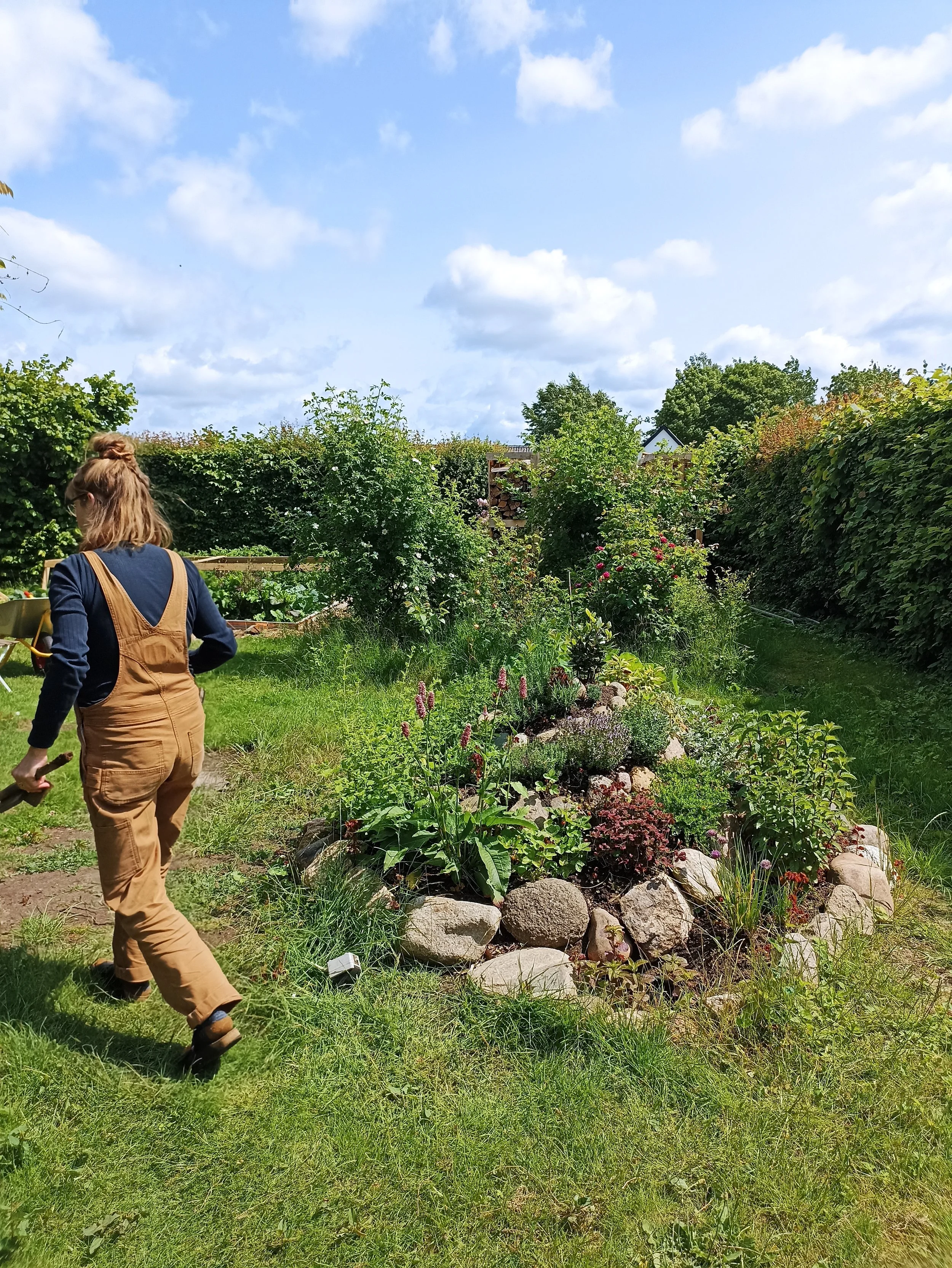 Urtepiralen en sommerdag. Her kan høstet krydderurter hele sommeren og efteråret. 