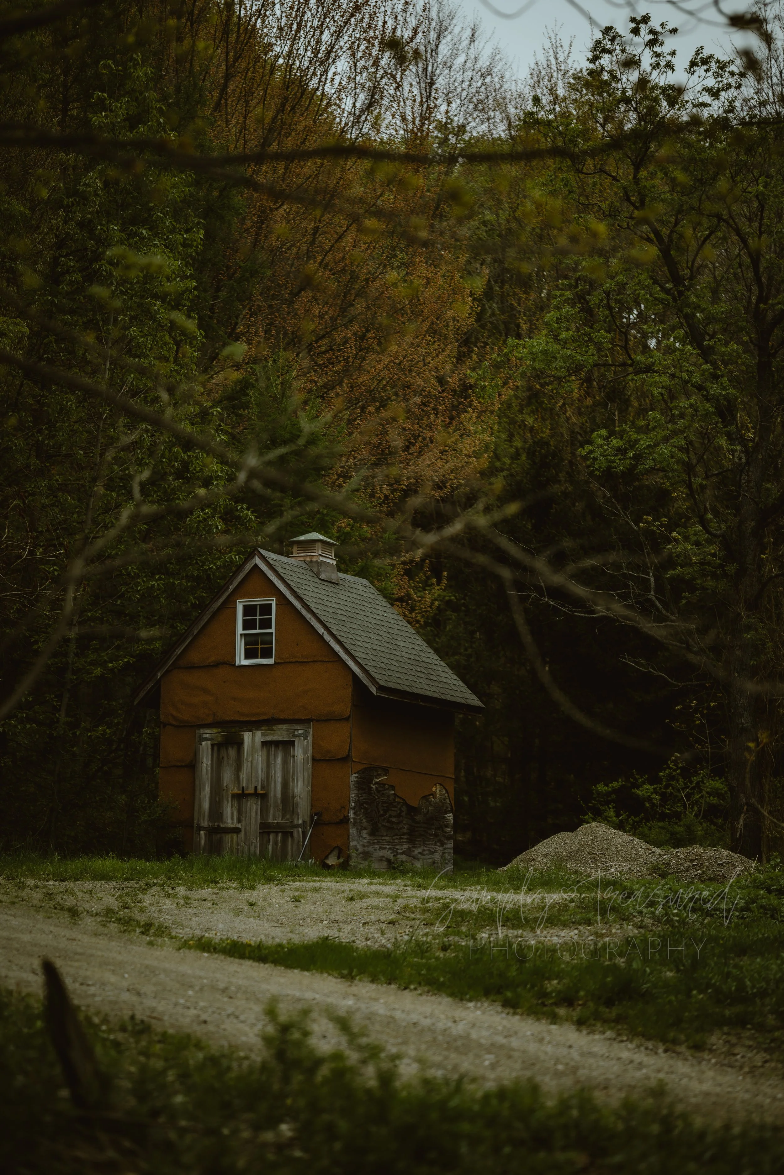 A small, rustic brown shed with a gray shingled roof, situated on a dirt path amidst greenery and trees in a wooded area. Sinclairville NY