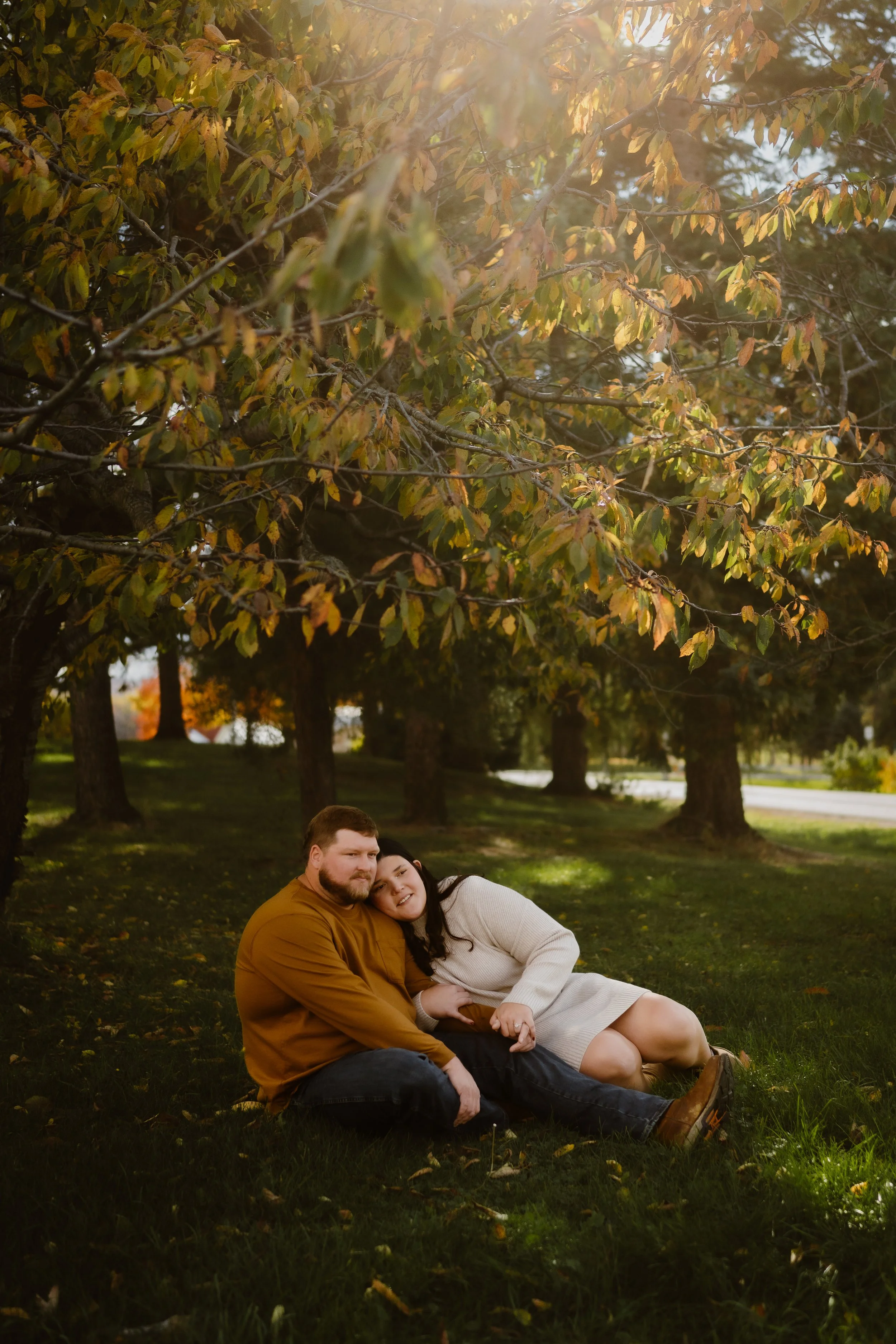 A couple sitting on the grass under a large tree with autumn leaves, with sunlight filtering through the branches, creating a warm, peaceful atmosphere.
