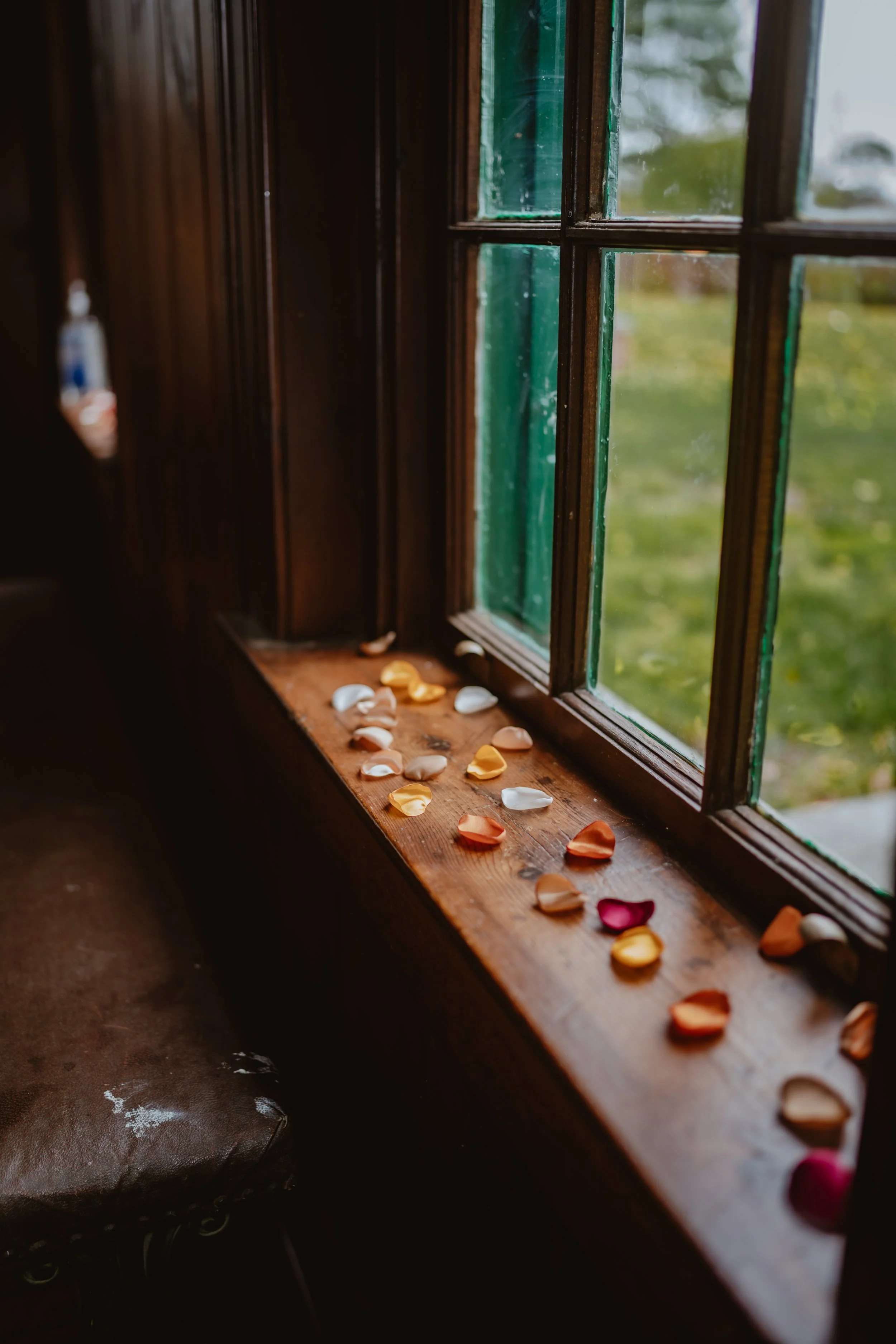 Colorful rose petals scattered on a wooden windowsill inside a room, with a window showing a blurred outdoor green landscape. Knox Farm State Park, East Aurora, NY