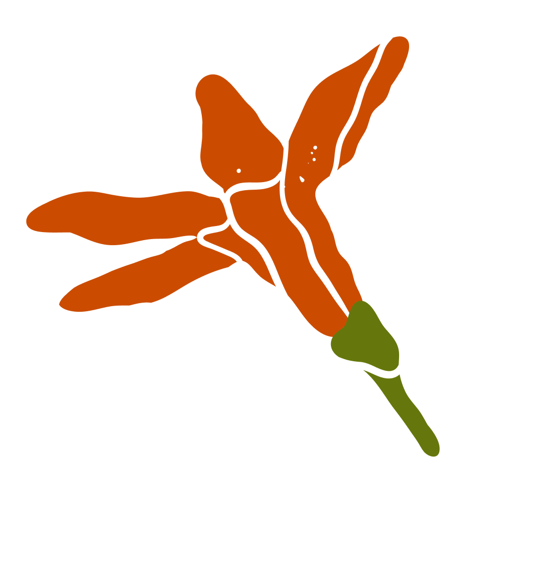 A simple drawing of a flower with orange petals, a green stem, and a green base, with black outline.