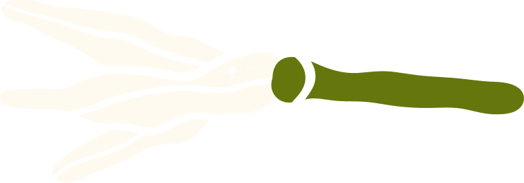 Illustration of a squid with a green body and white tentacles.