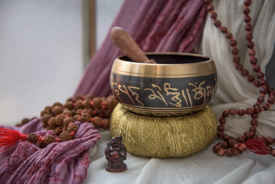 Copy of WEB_NicoleStone_BusinessPortrait_2471.jpg