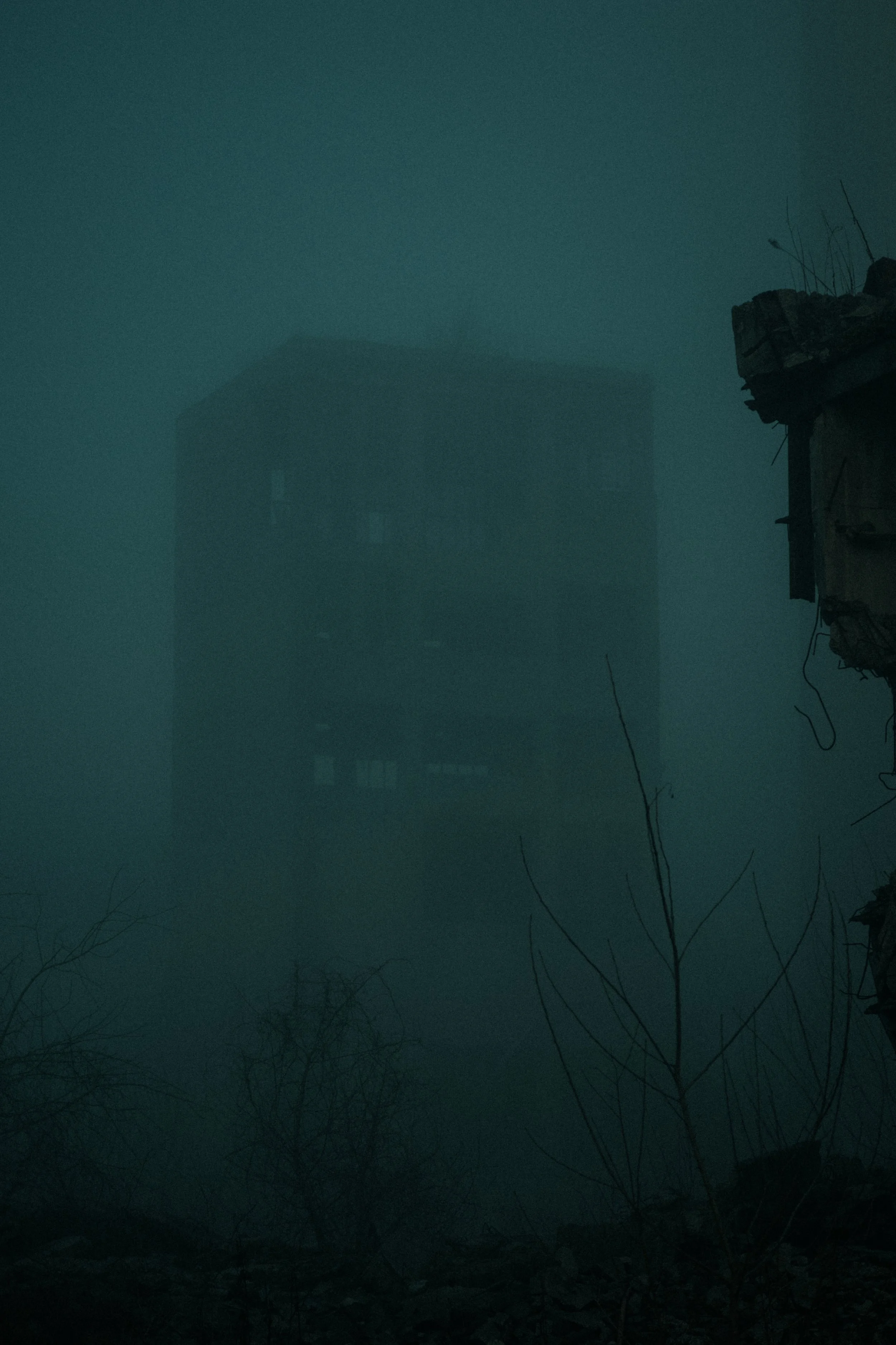 A foggy or smoky scene with a tall building in the background and debris or plants in the foreground.