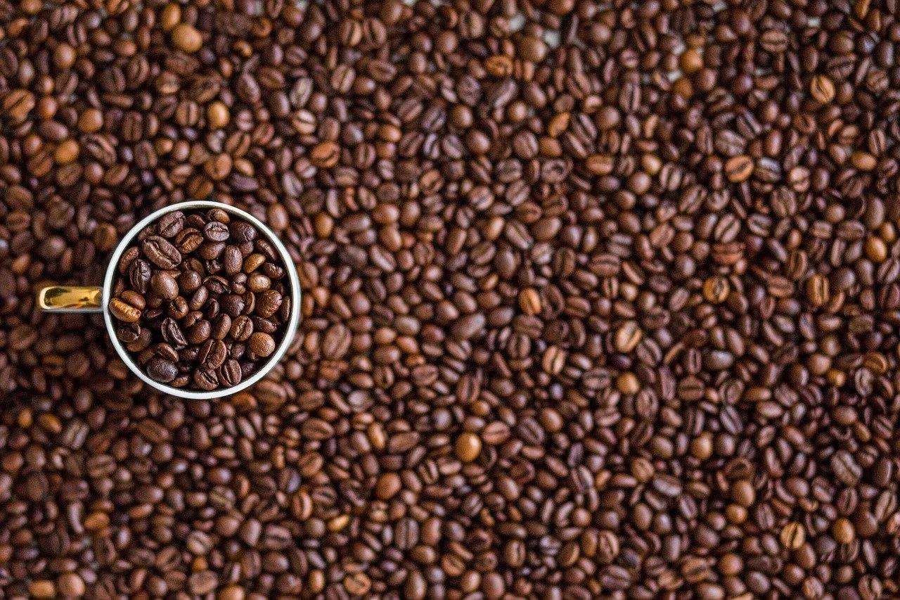 Une quantité abondante de grains de café bruns avec une tasse en métal contenant des grains de café au centre.