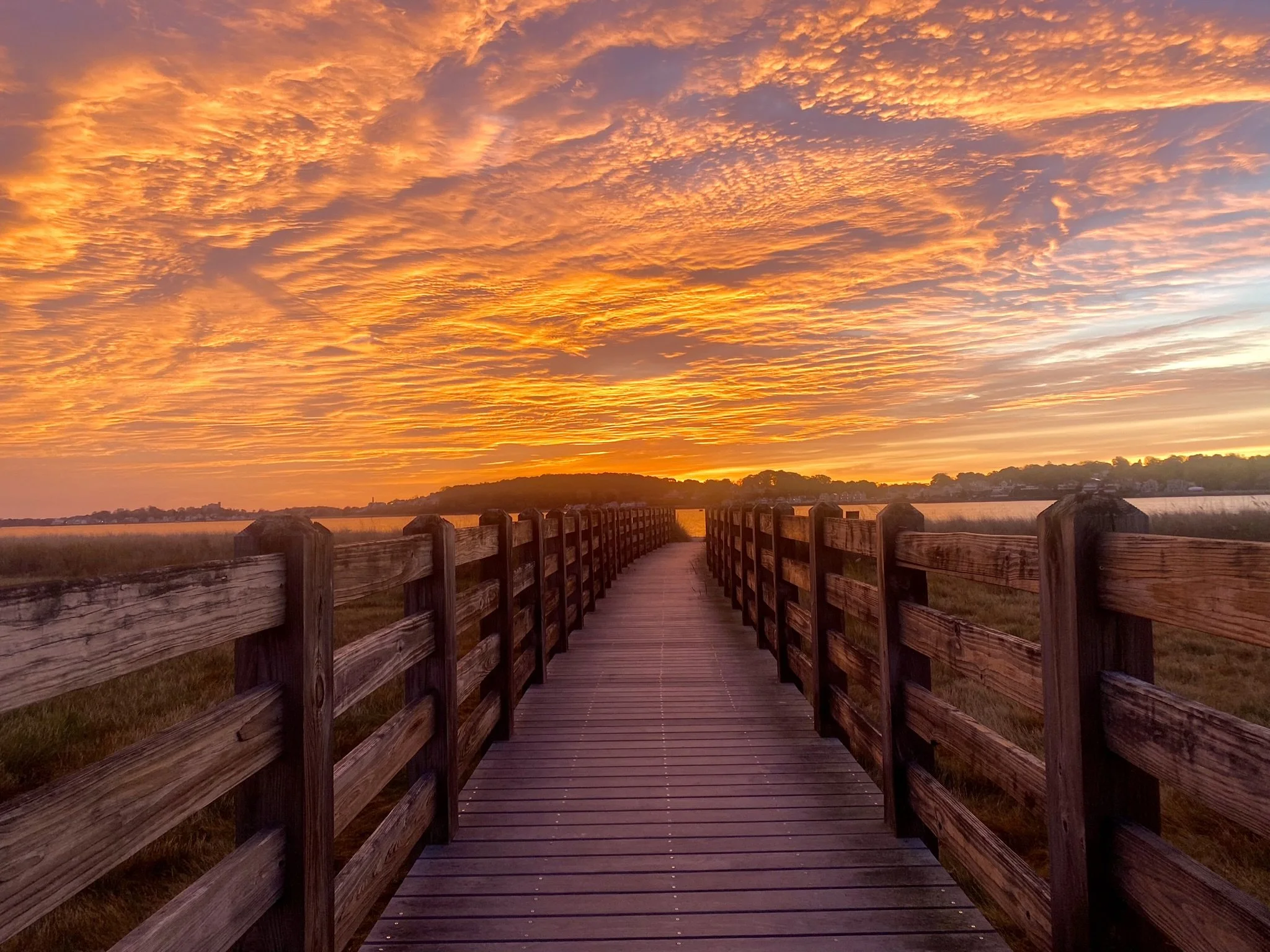 Joanie Lawlor: Simple Beauty