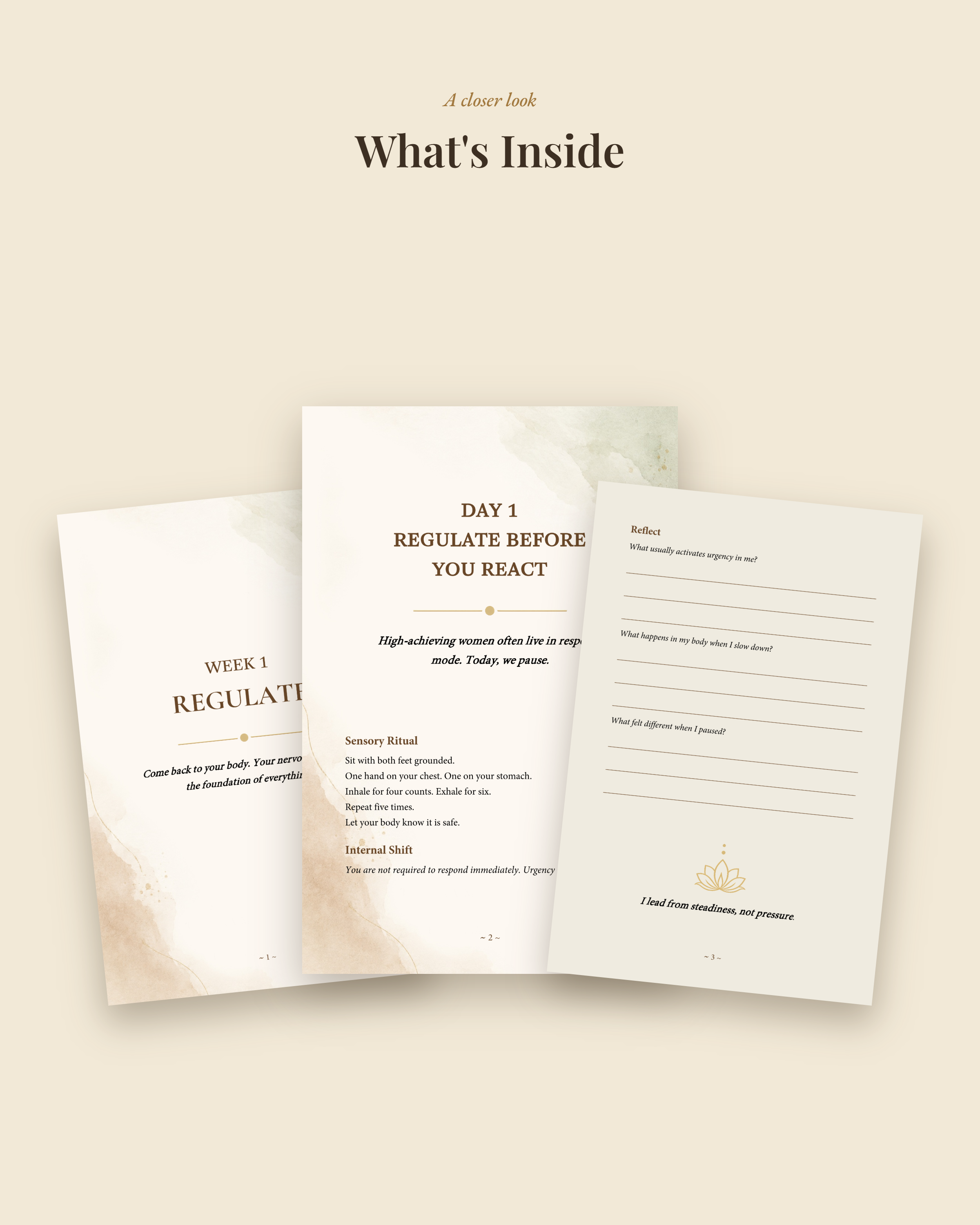 02-whats-inside.png
