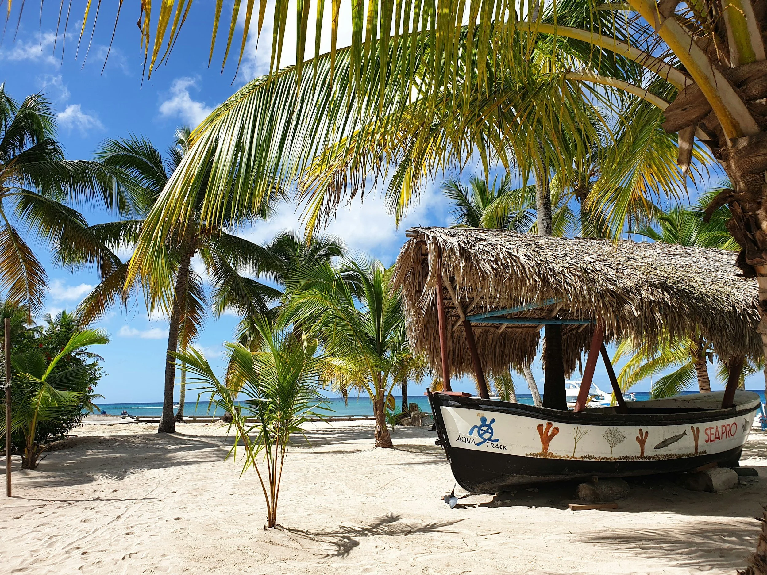A tropical beach scene with palm trees, clear blue sky, sandy beach, and a small boat with a thatched roof, surrounded by greenery.
