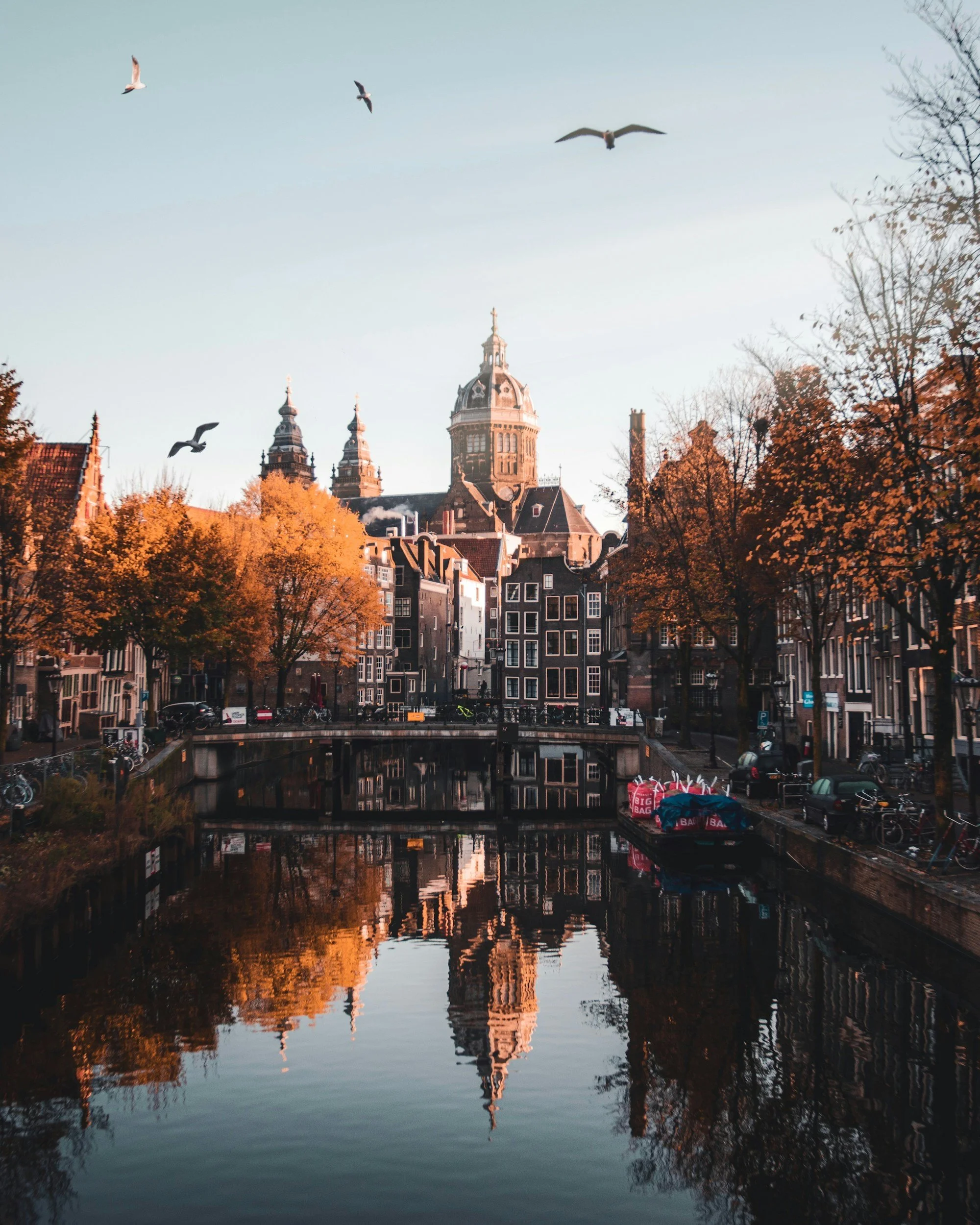Cityscape of a canal with autumn trees, historic buildings, and a large clock tower, with seagulls flying overhead