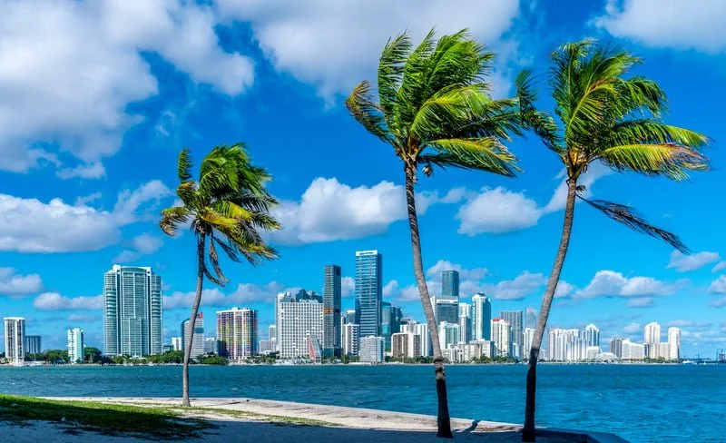 Three palm trees along a waterfront with a city skyline in the background under a partly cloudy sky.