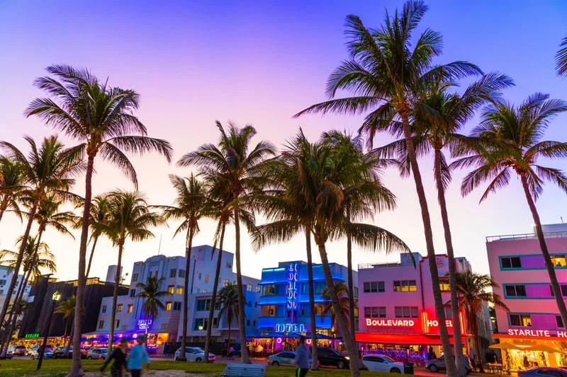 Sunset view of palm trees lining a street with colorful neon signs and buildings in Miami Beach, Florida.