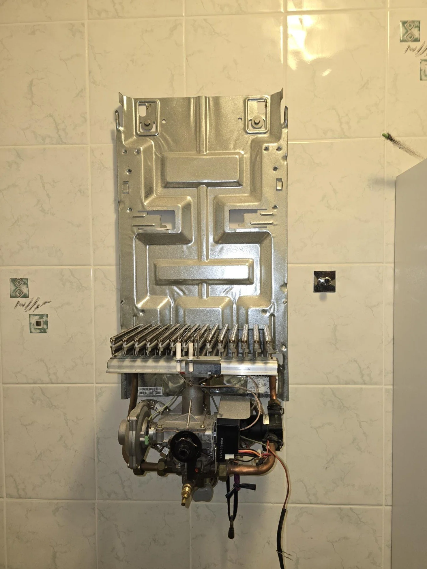 20240927_172208 (002).jpg