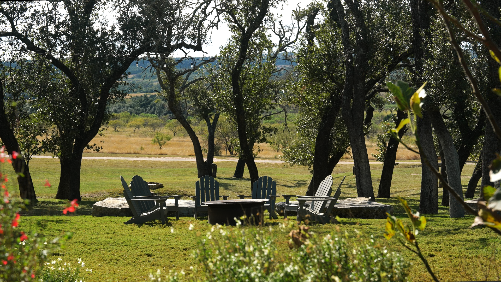 The Taylor's Wedding 2026 Photos_2.8.1.png