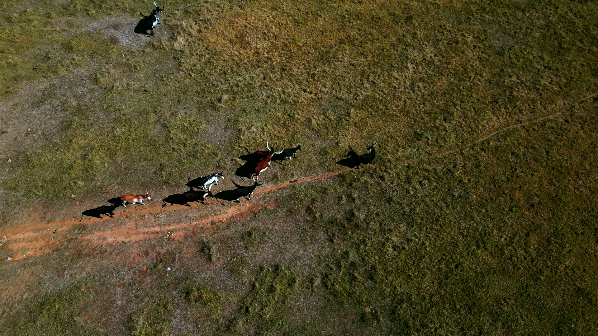 The Taylor's Wedding 2026 Photos_1.27.1.png