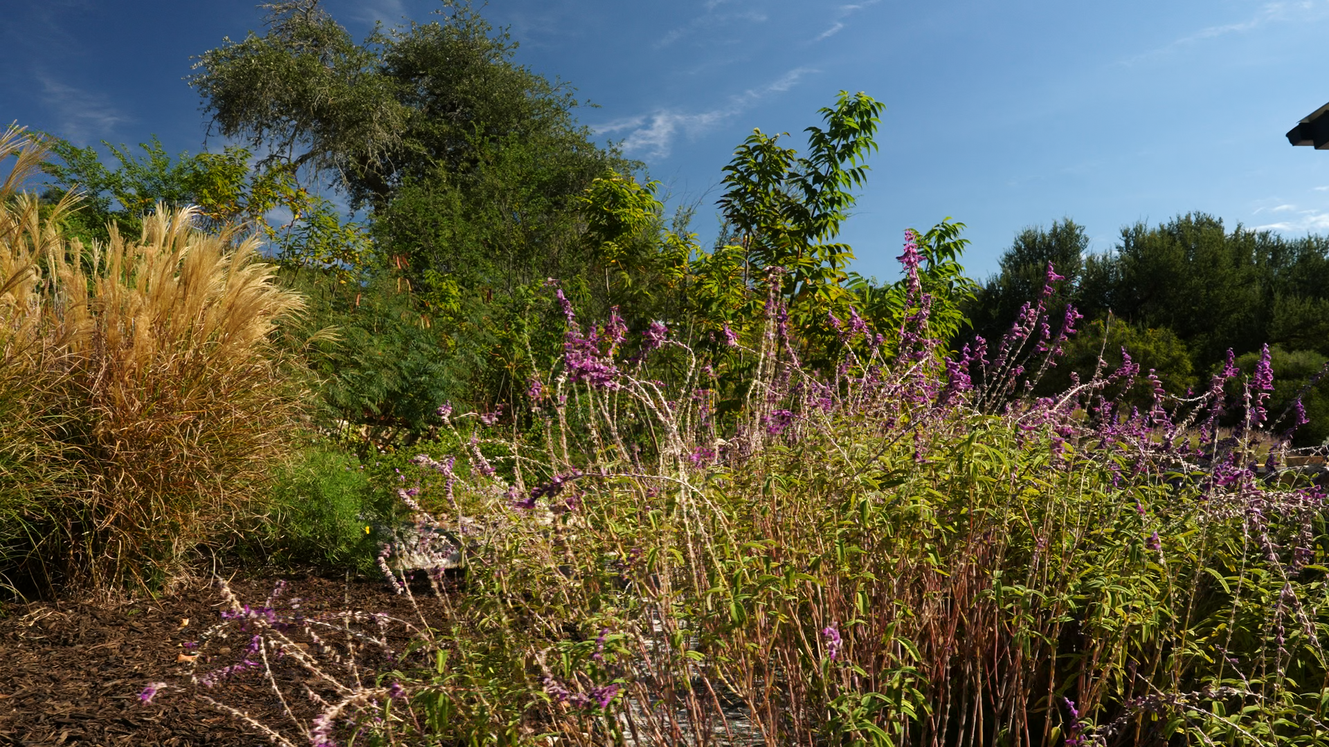 The Taylor's Wedding 2026 Photos_2.12.1.png