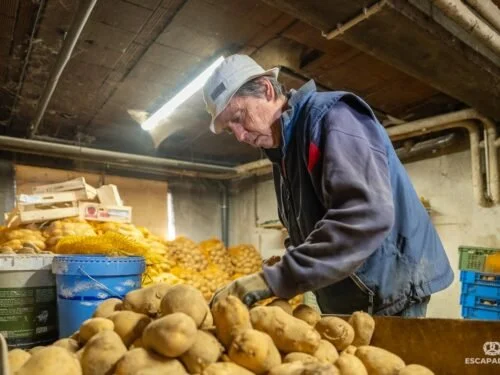 Hartmann Dominique trie des pommes de terre maison dans la cave du restaurant 