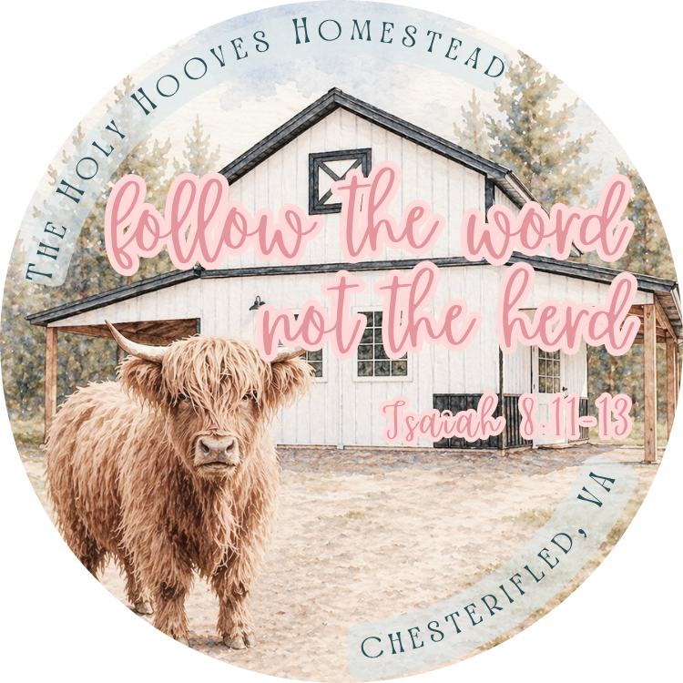A Highland cow standing in front of a white homestead barn with trees in the background. Overlaid text reads, 'Follow the word, not the herd' with a Bible reference, 'Isaiah 8:11-13'. The circular design also includes the words, 'The Holy Hooves Homestead, VA'.