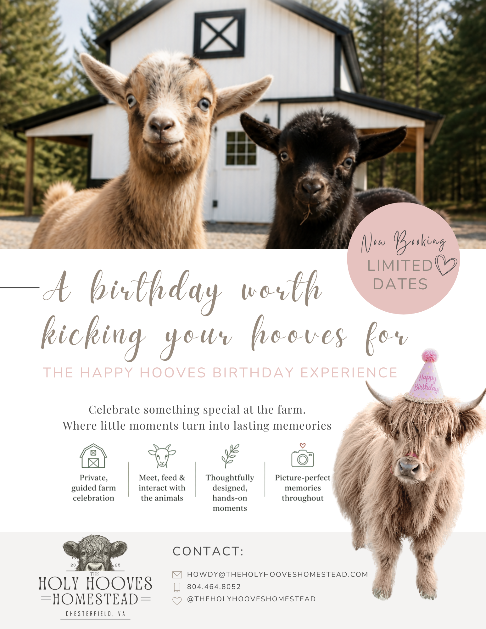 private farm birthday party richmond va.png