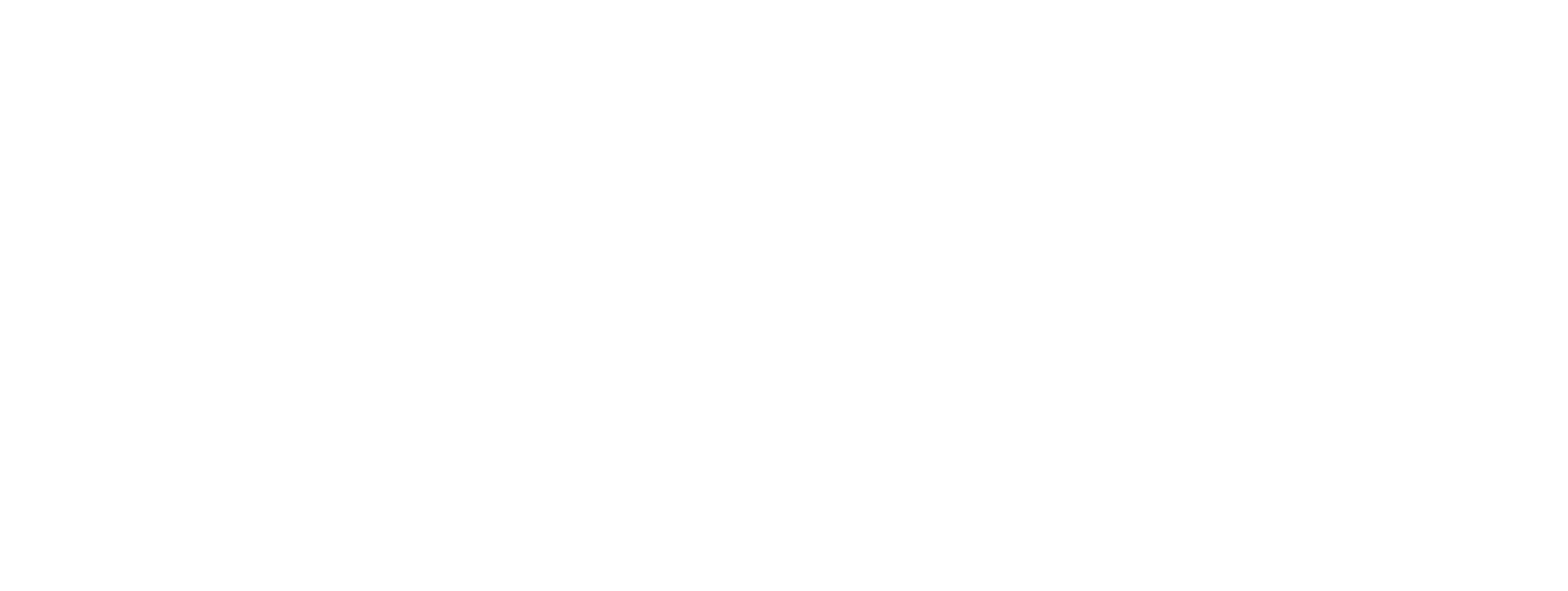 morgan ione photography critical role hospitality partner
