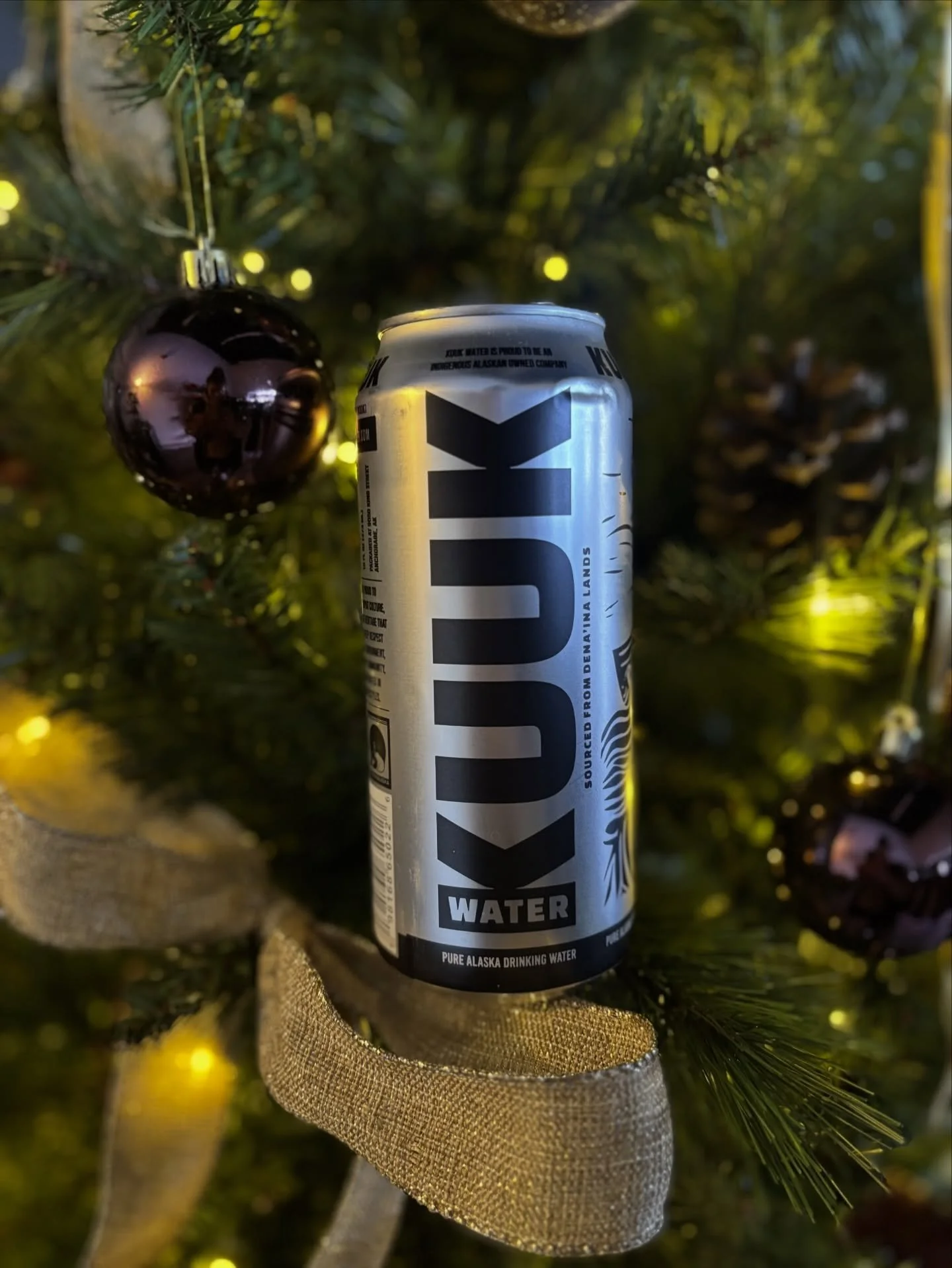 Happy Holidays from everyone at Kuuk!

We want to say thank to all that choose to support Kuuk this holiday season! We hope you have a fun and happy holiday.

#kuuk #kuukwater #kuukalaska