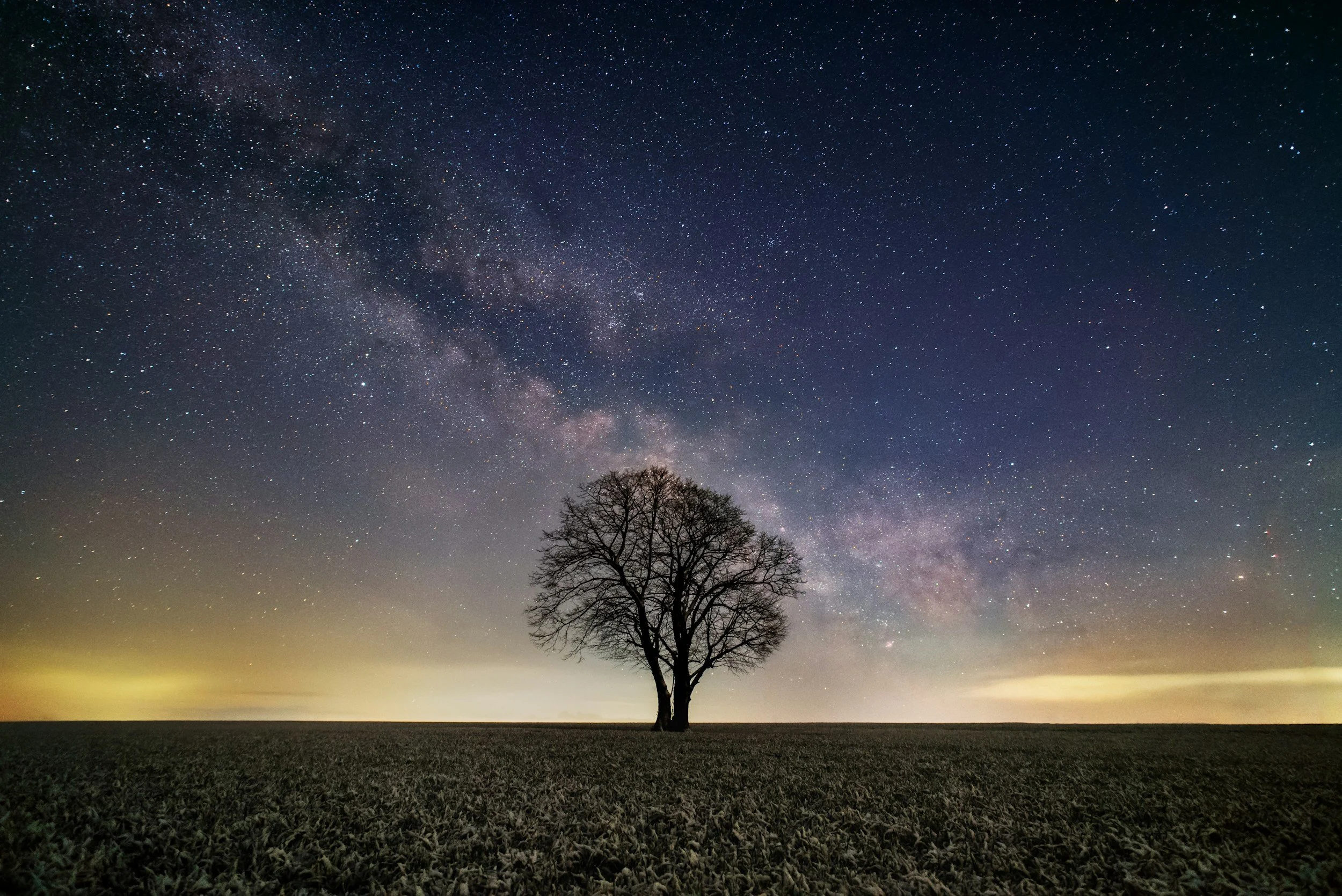 Grief Therapy in Colorado