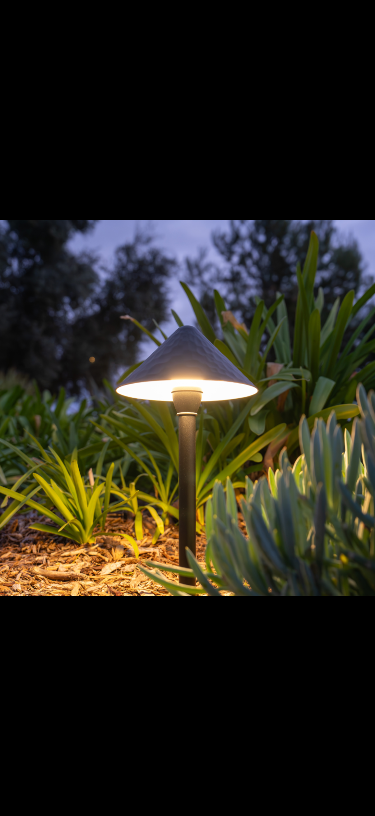 Garden pathway light illuminating green plants at dusk