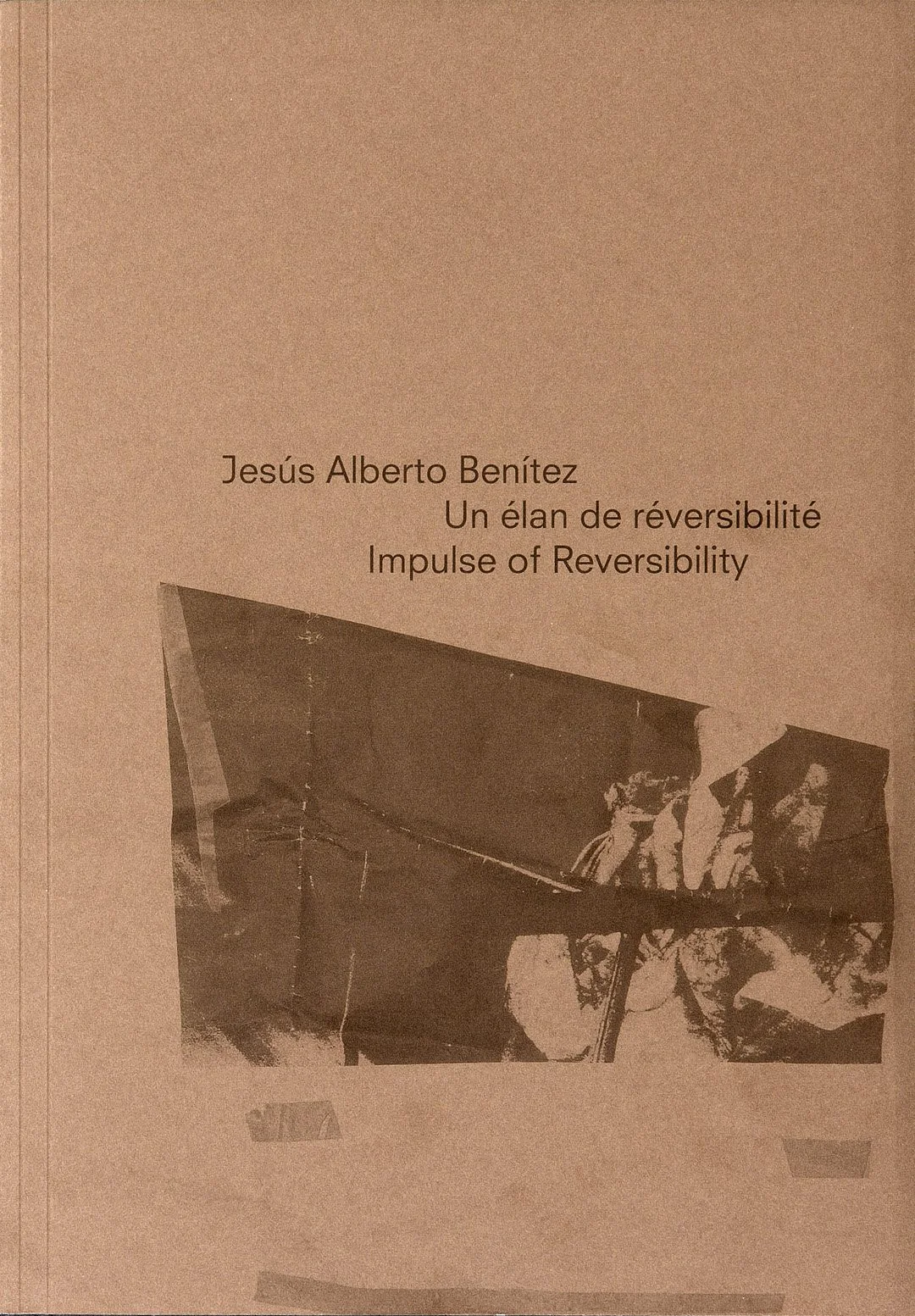 Un élan de réversibilité, monographie, essais d'Anne Bonnin et Joana Neves, Editions Adera, Lyon, 2015