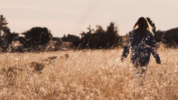 Person walking through a field of tall grass during sunset.
