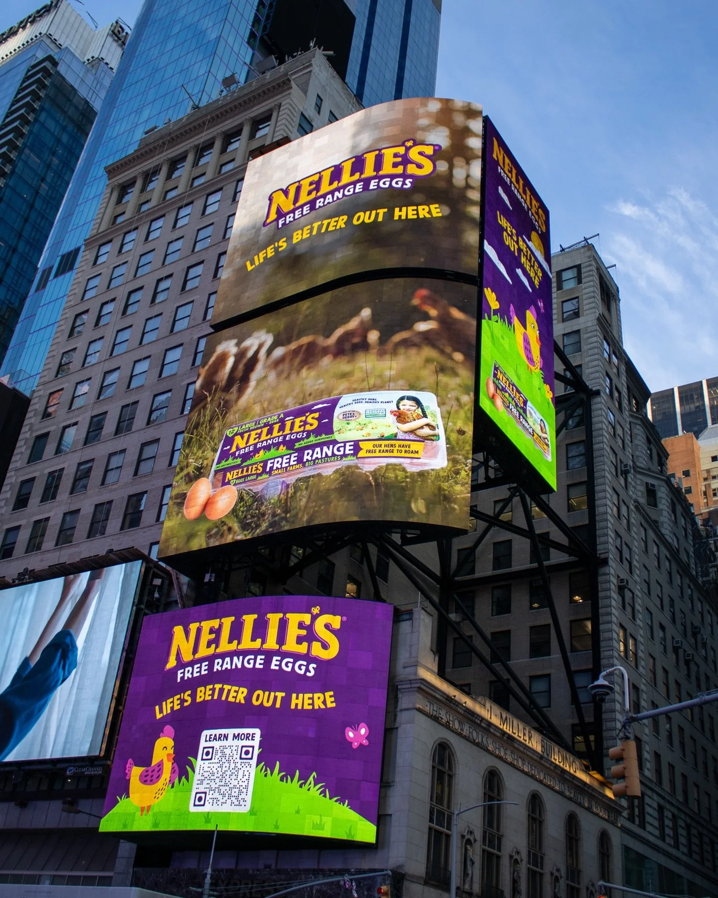 Billboard advertisements for Nellie's free range eggs, featuring colorful graphics of eggs, chickens, and a QR code, with the slogan