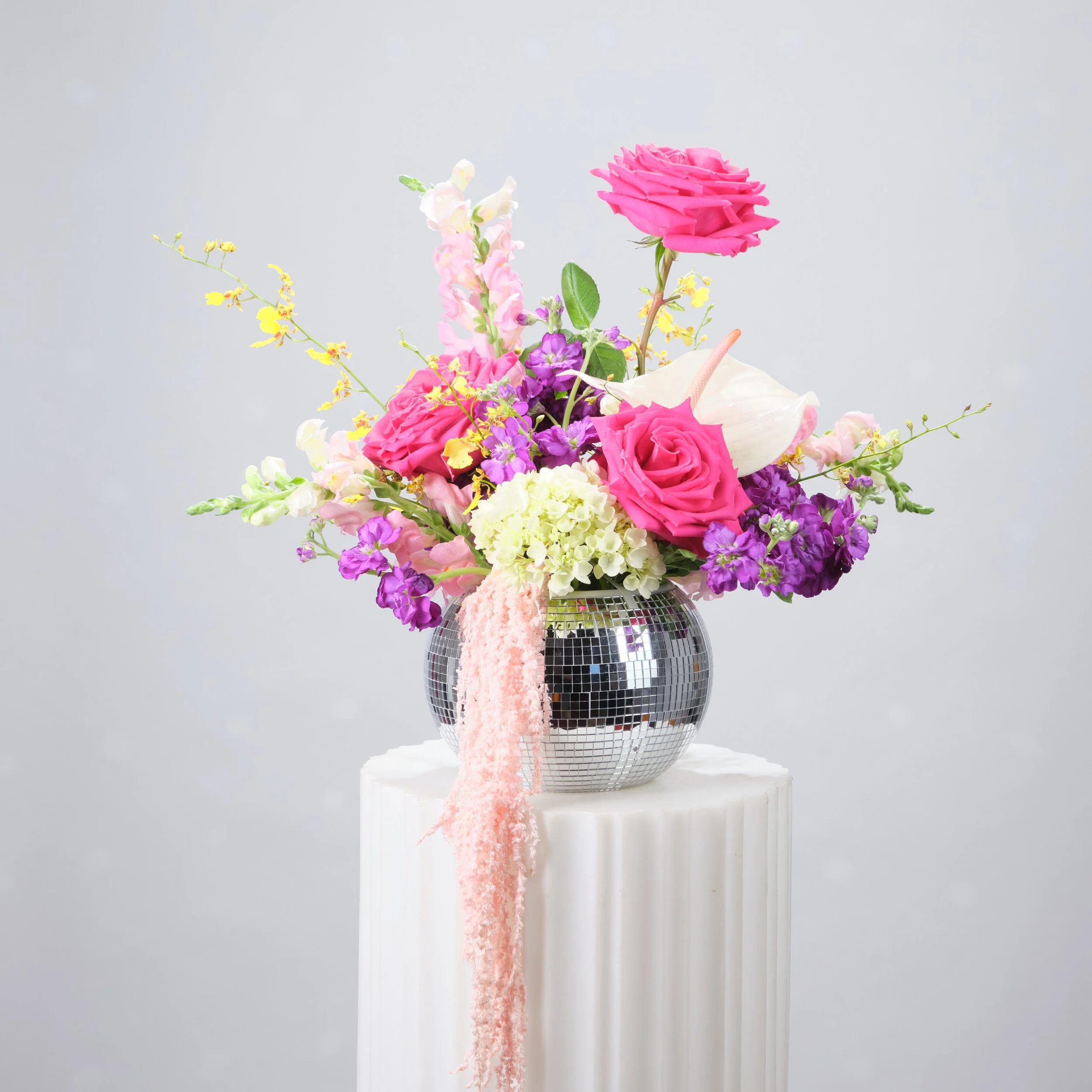 2025 Fall Studio0230 1.jpg