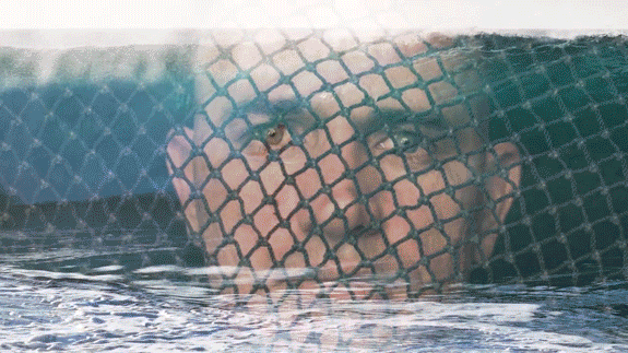 A person lying on a surfboard in the water behind a net, with only part of their face visible.