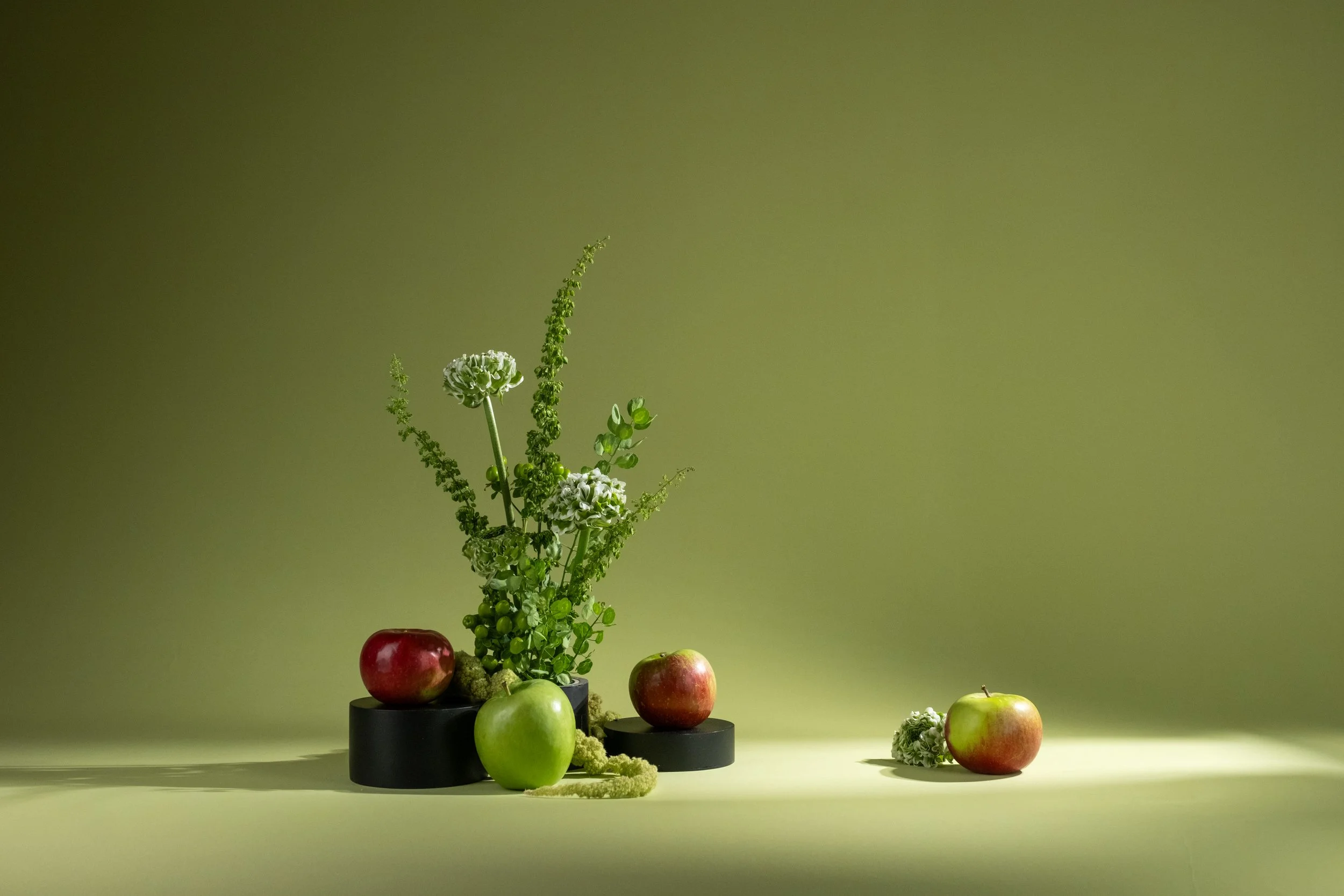 2025 Fall Studio0587.jpg