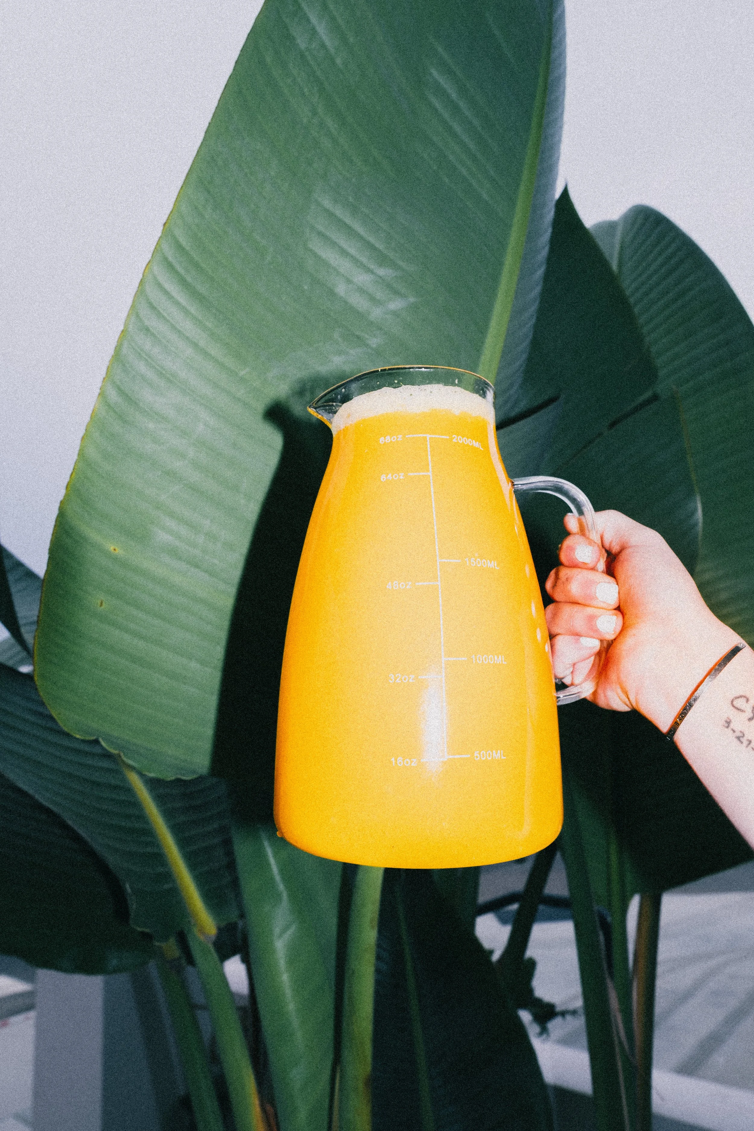 Hand holding a glass pitcher filled with orange juice, with large green tropical leaves in the background.