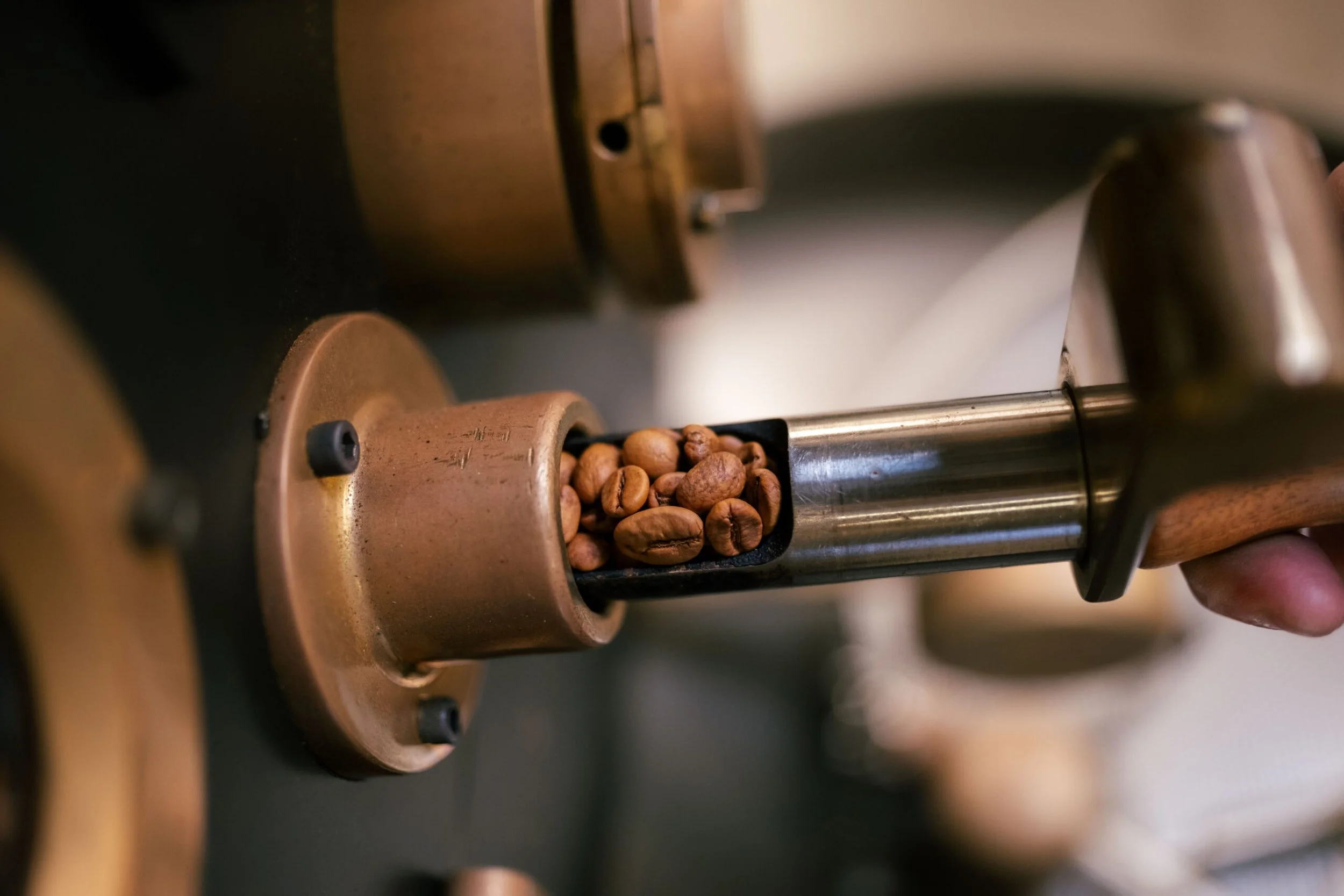 Close-up of a coffee roasting machine feeding green coffee beans into a drum for roasting.