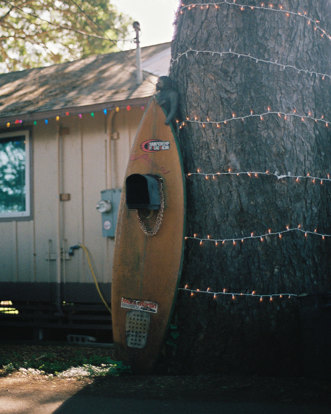 A weathered surfboard leaning against a large tree wrapped with string lights, in front of a house with optional holiday decorations.