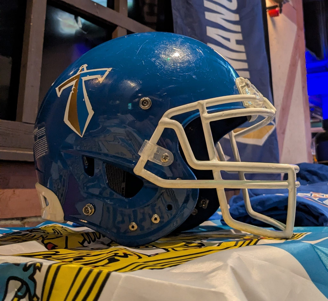 Authentic Titans Helmet