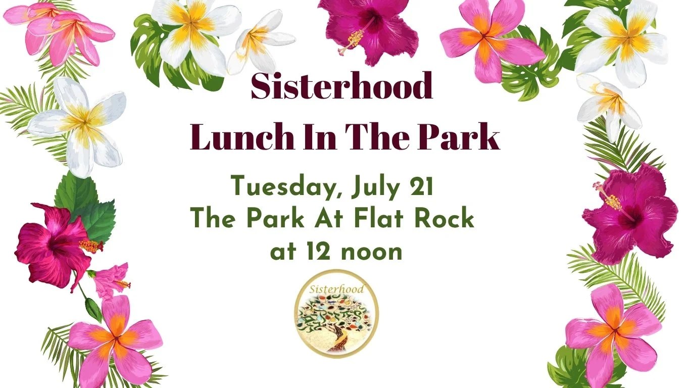 Sisterhood Lunch In The Park