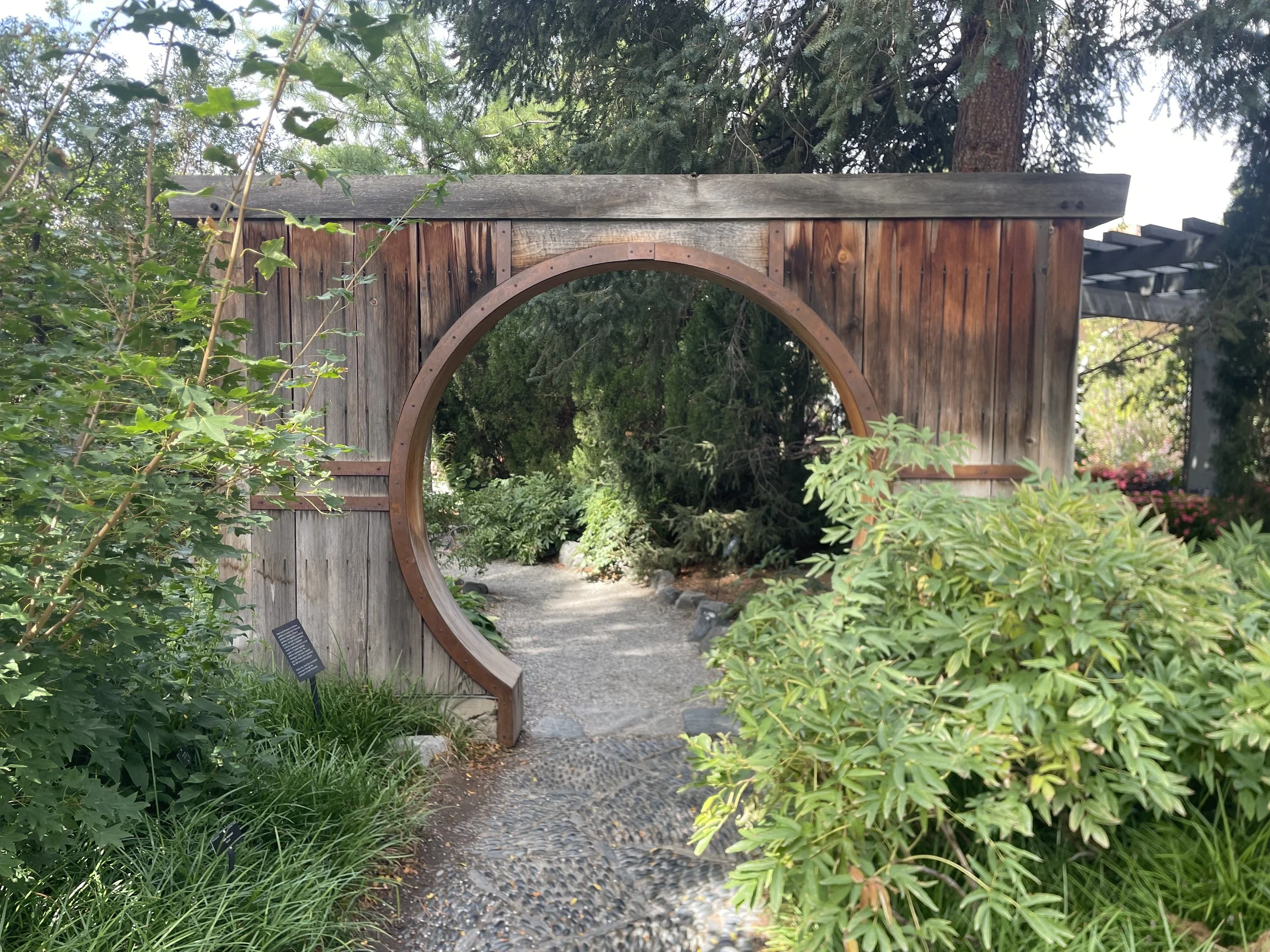 Orthopedic and Musculoskeletal Pain