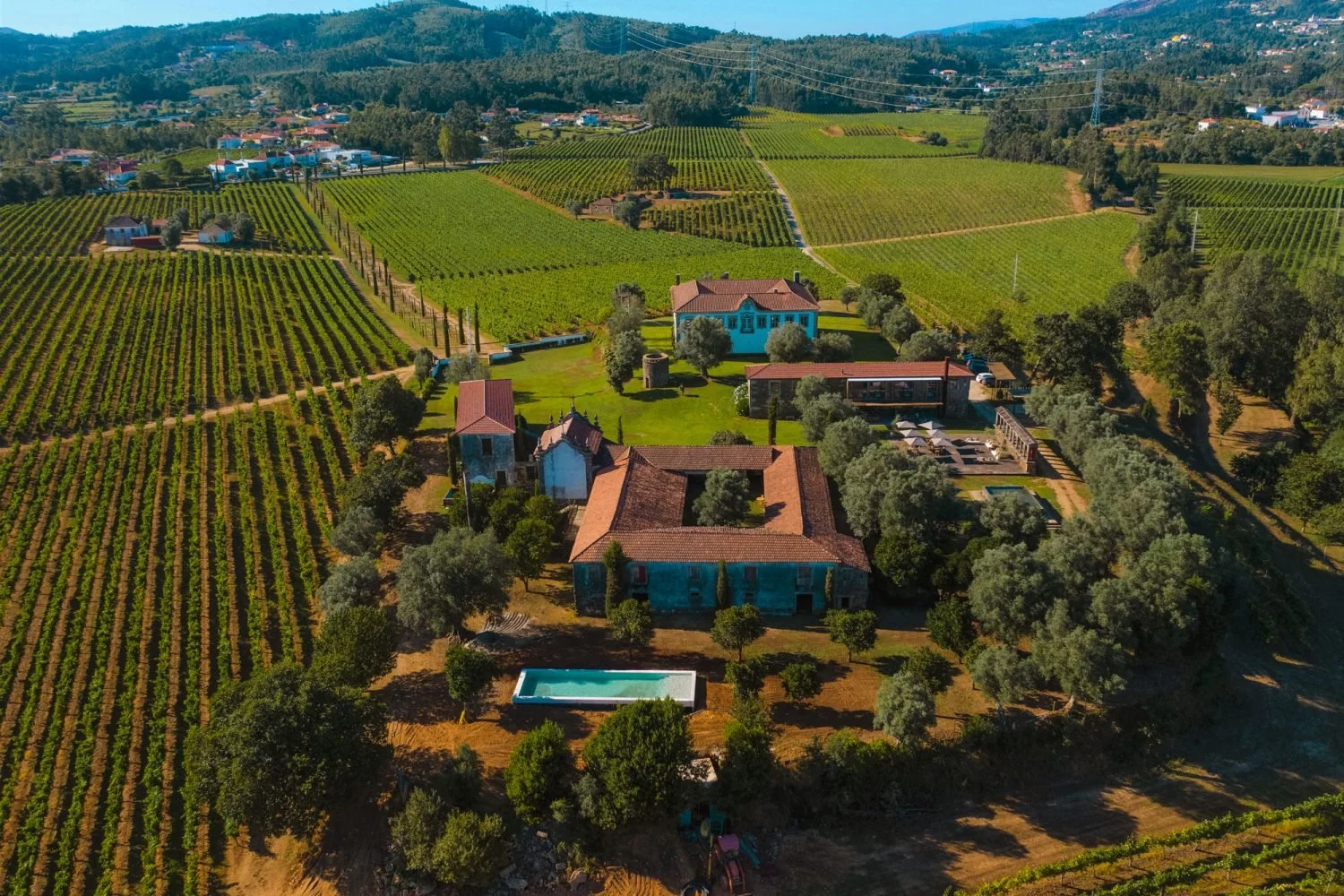02-aerial-vineyards-houses-pool.jpg
