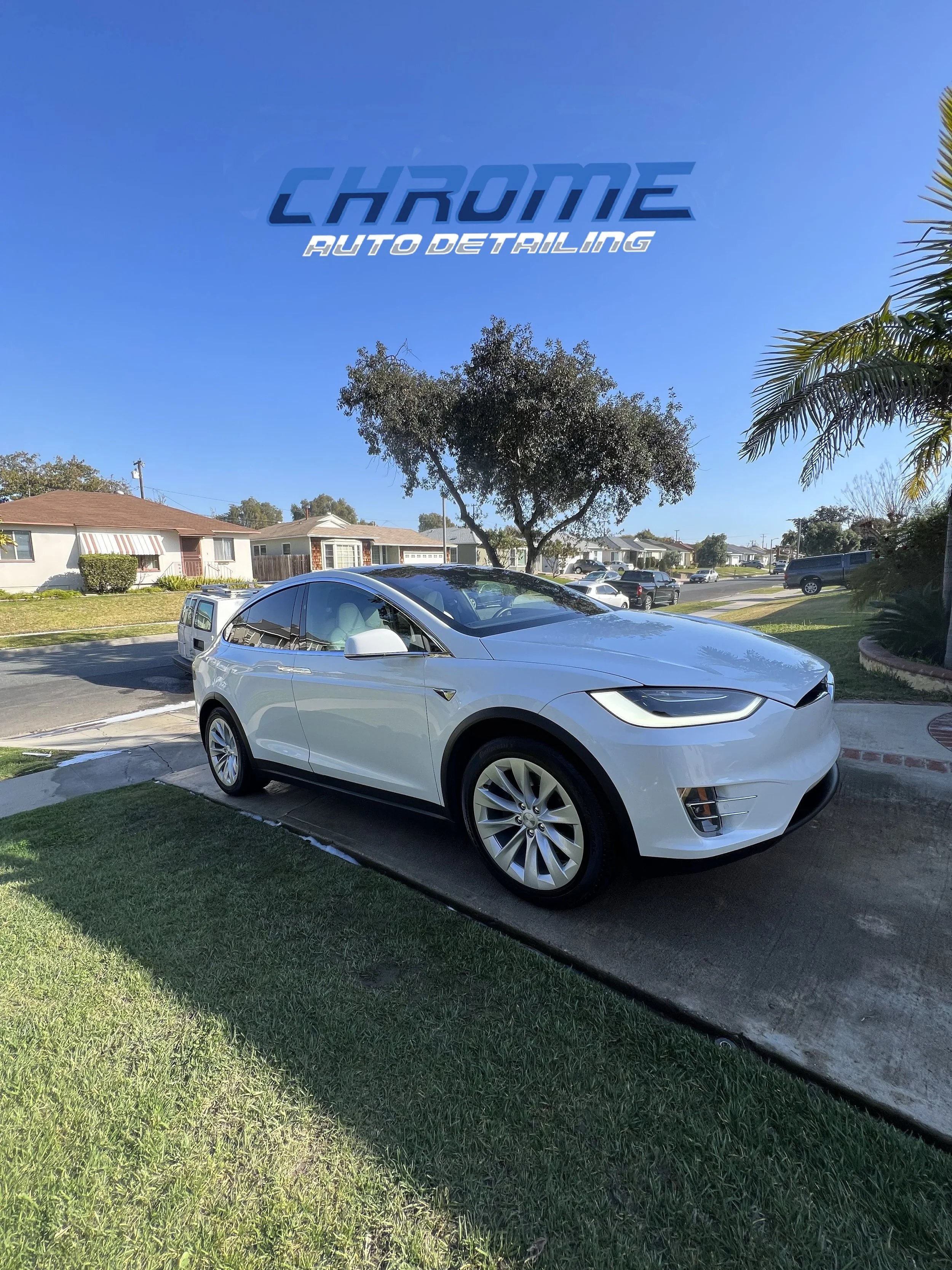 Tesla Model X |Clay & Seal