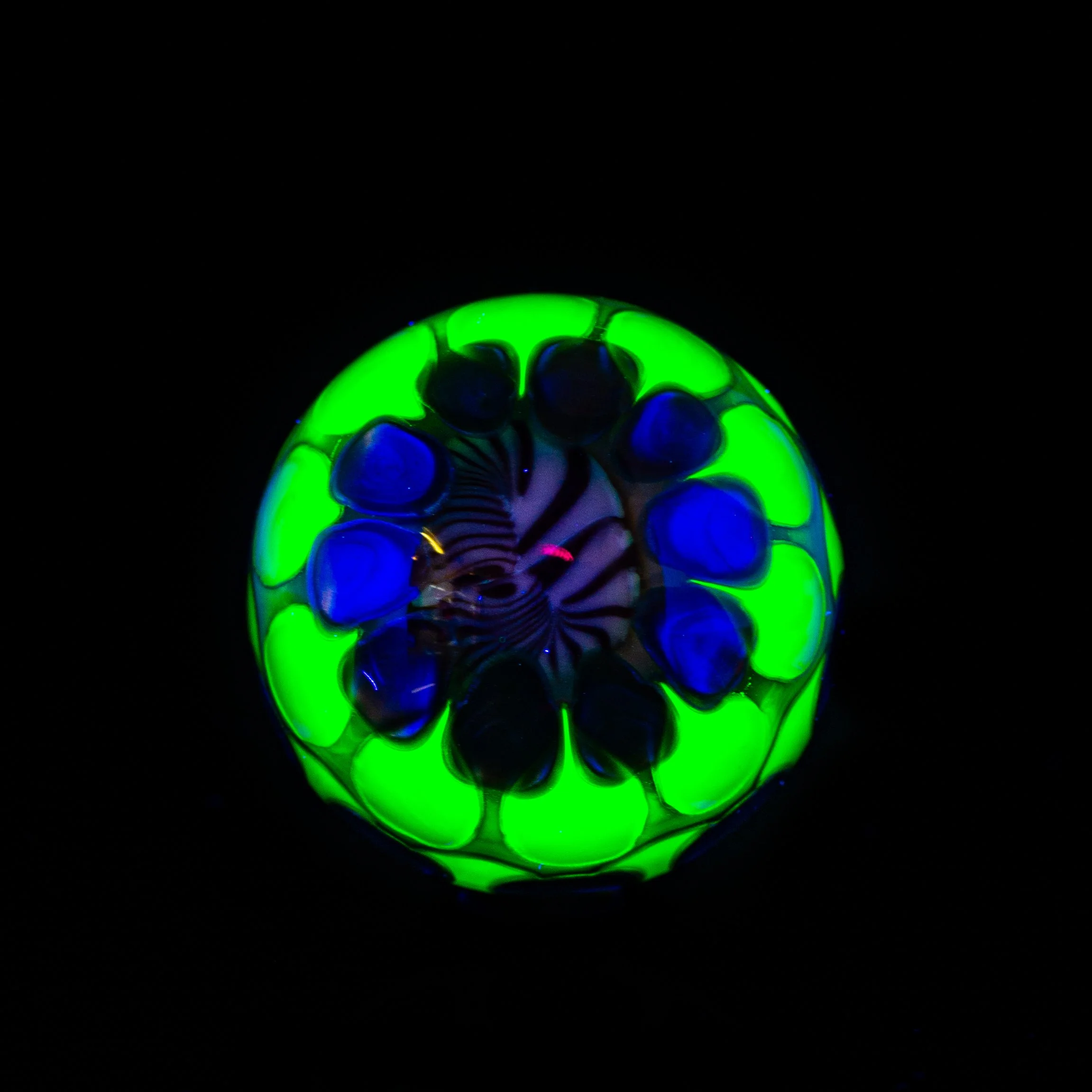 terp Brews mib 2-5.jpg