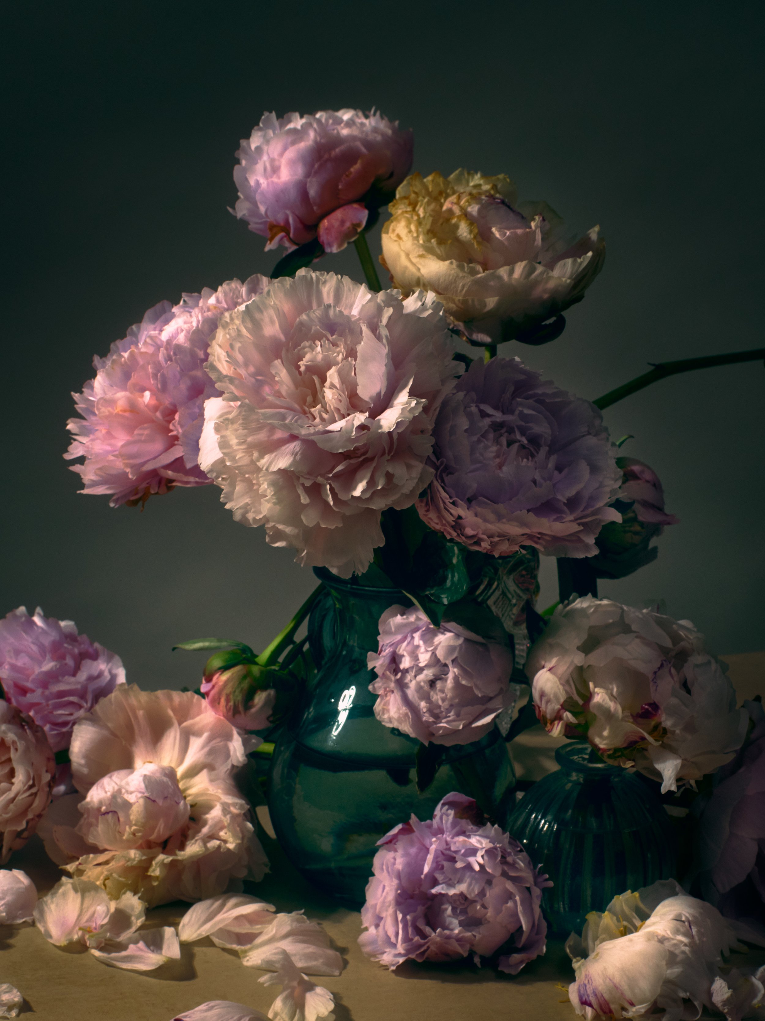 Flowers4111 1.jpg